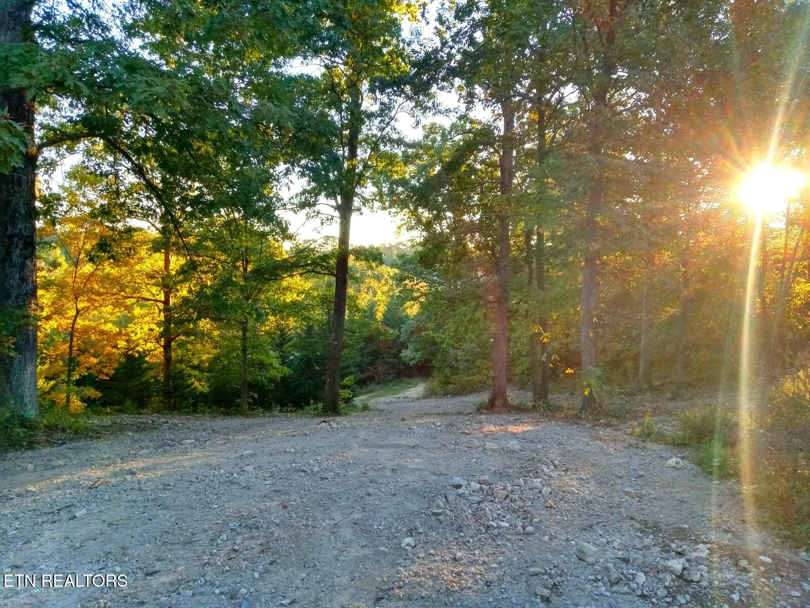 7171 Vonore Road Loudon TN 37774