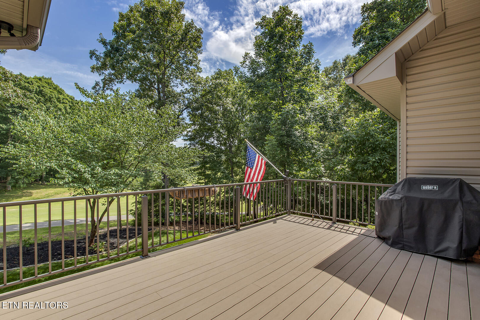 118 Daleyuhski Trace Loudon TN 37774