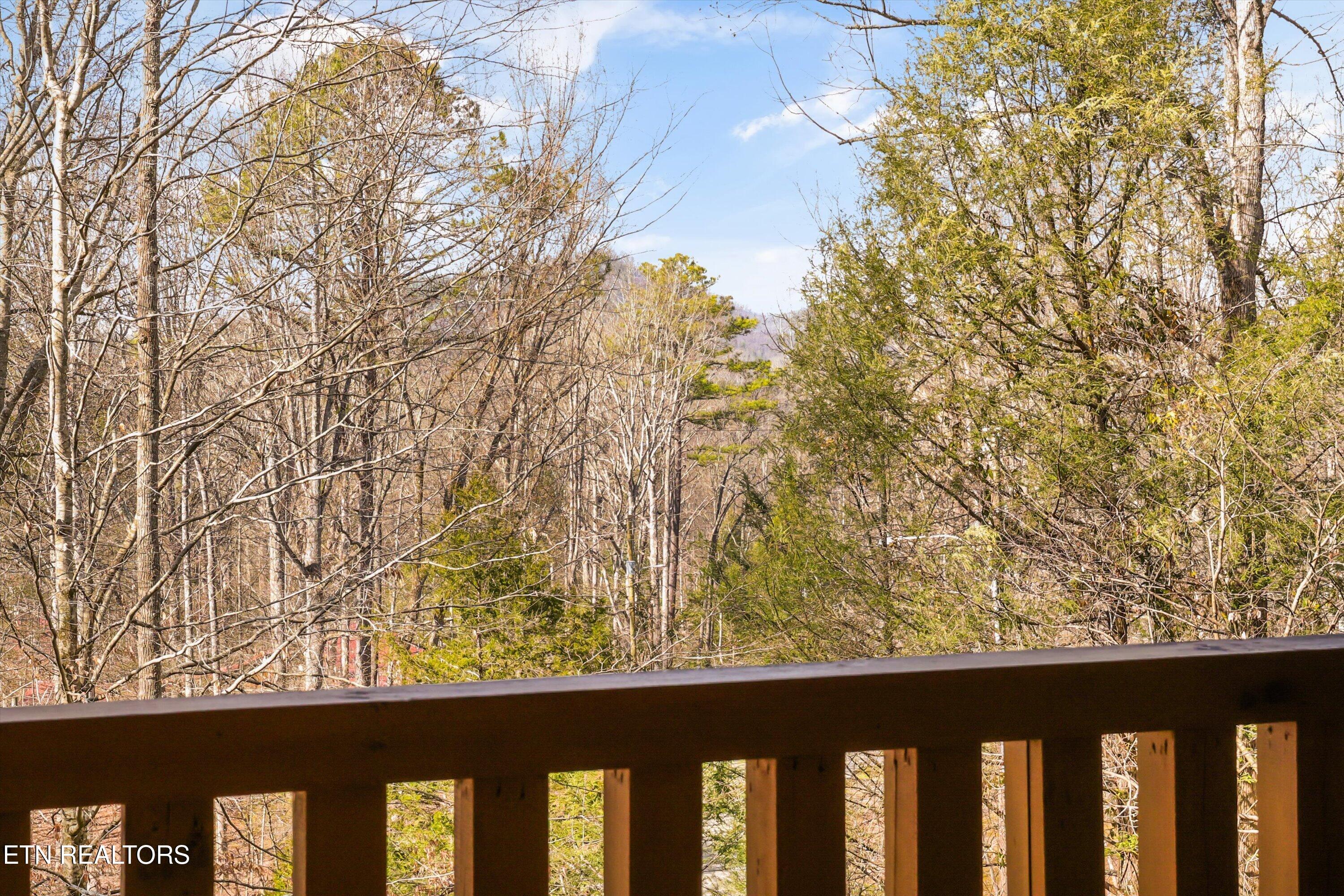 503 Domar Court Townsend TN 37882