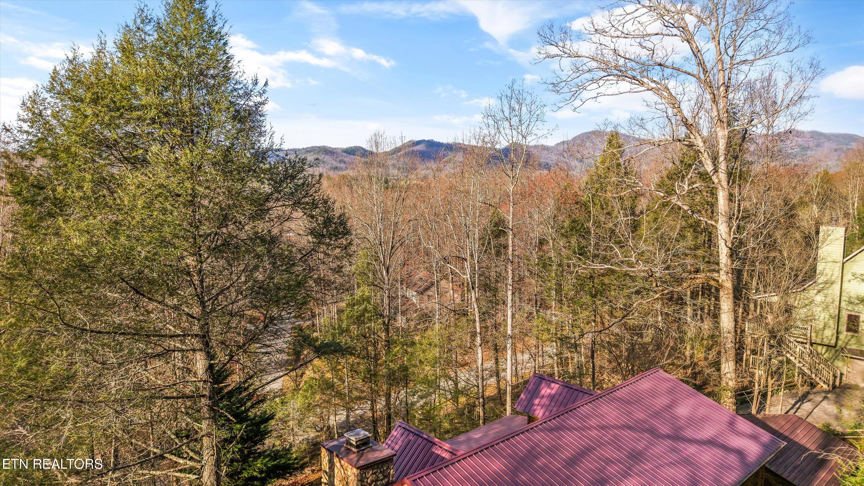 503 Domar Court Townsend TN 37882