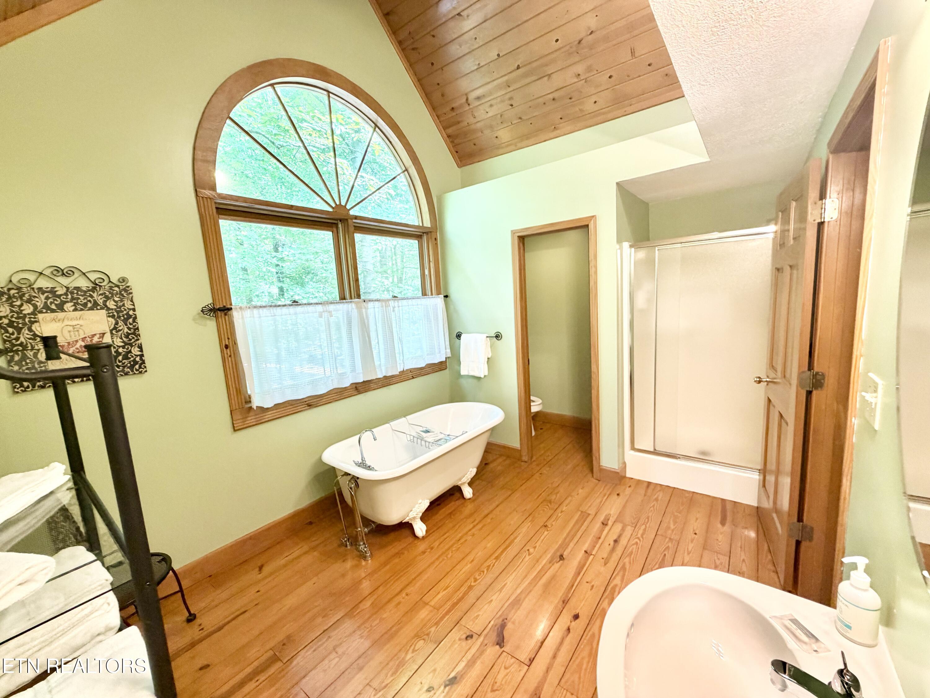 125 Shoreside Road New Tazewell TN 37825