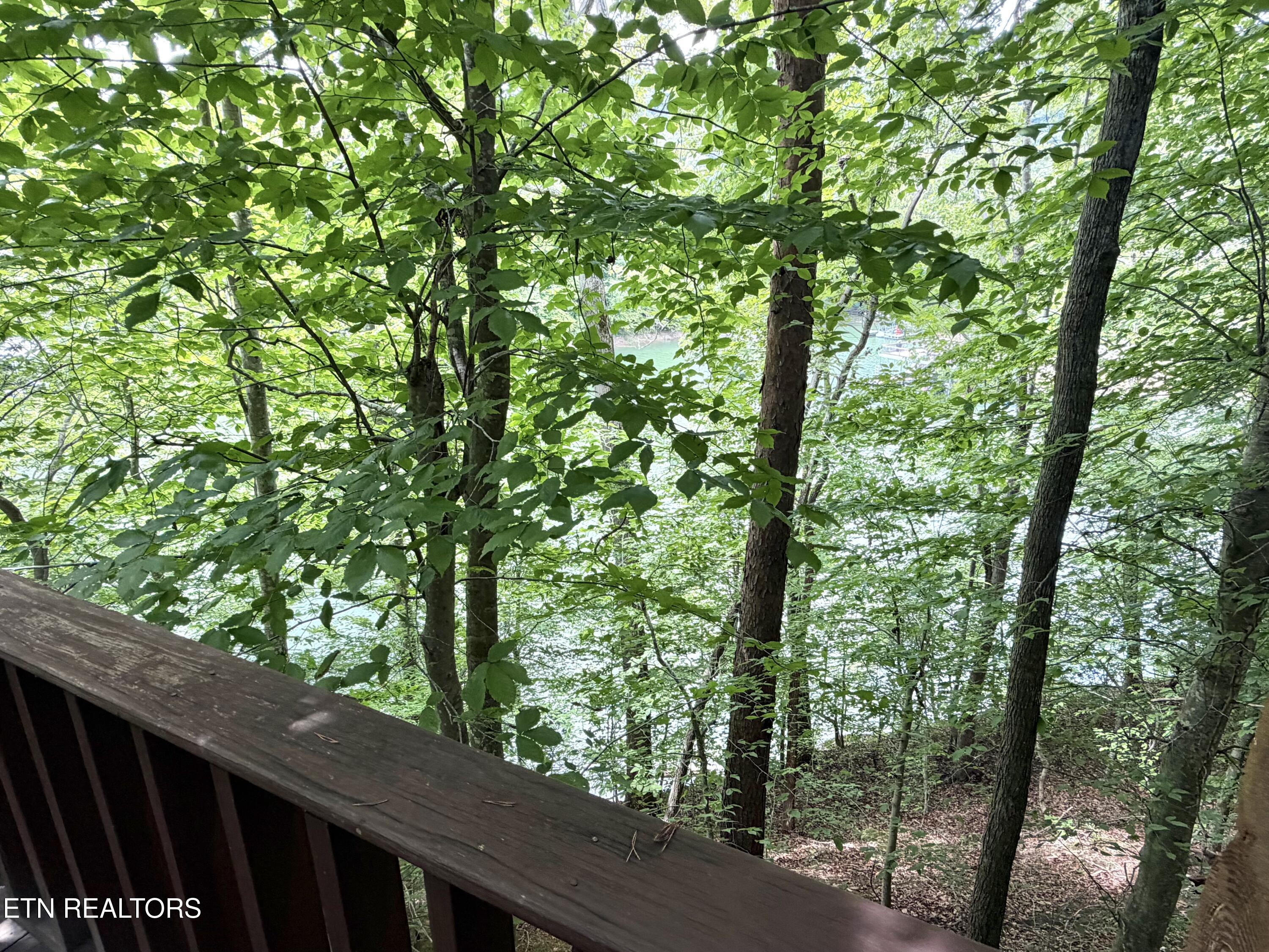 125 Shoreside Road New Tazewell TN 37825