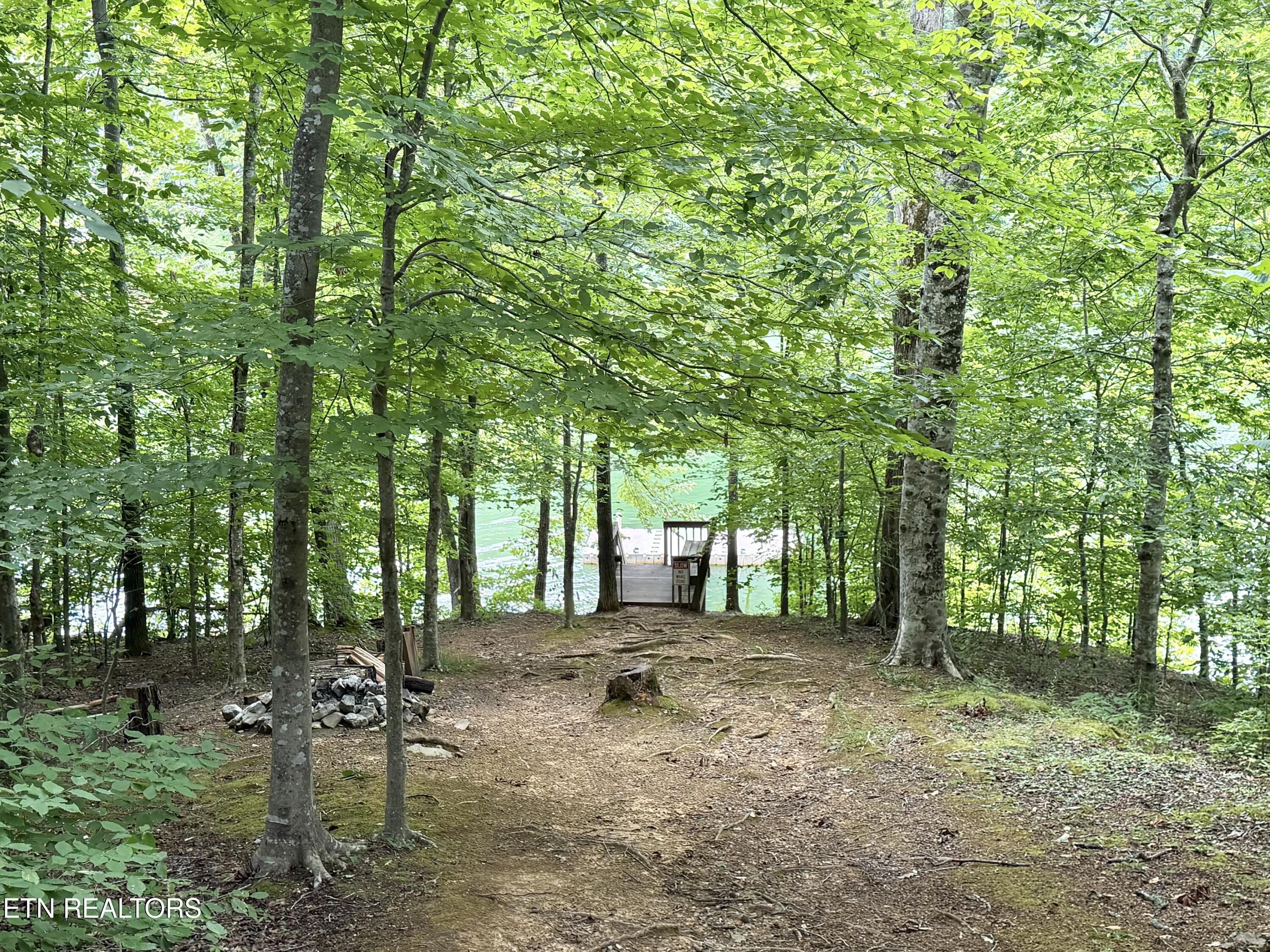 125 Shoreside Road New Tazewell TN 37825