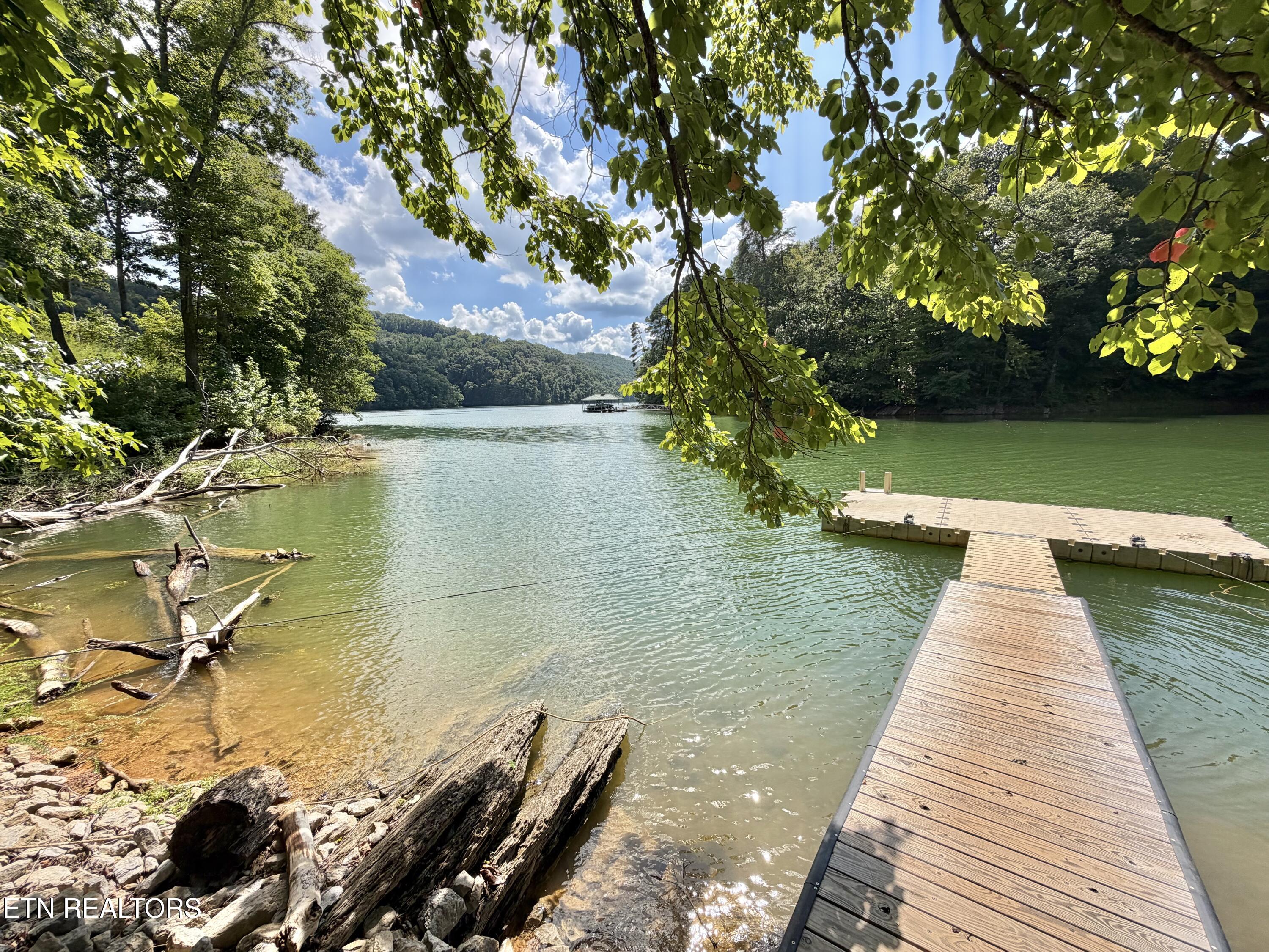 125 Shoreside Road New Tazewell TN 37825
