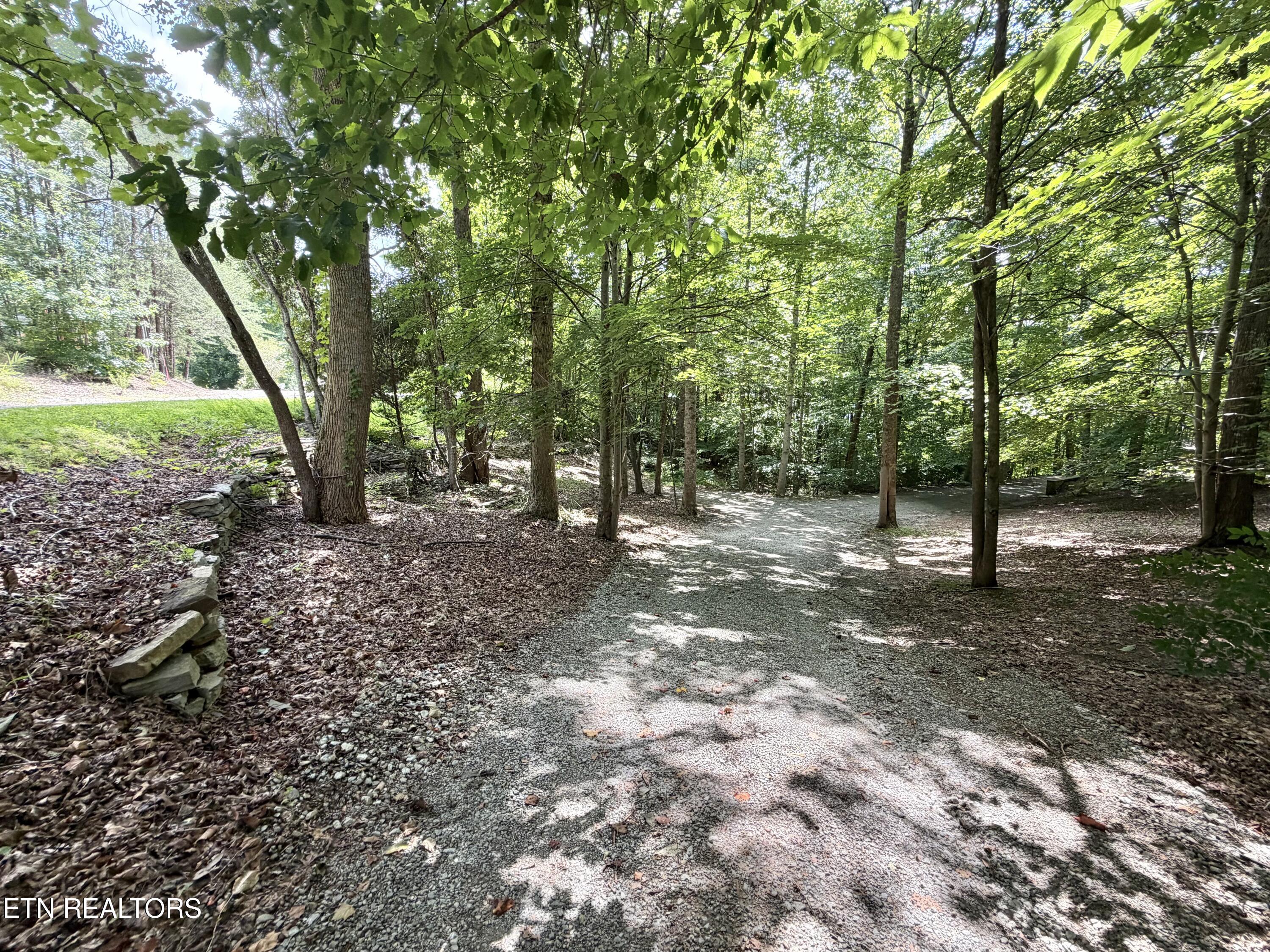 125 Shoreside Road New Tazewell TN 37825