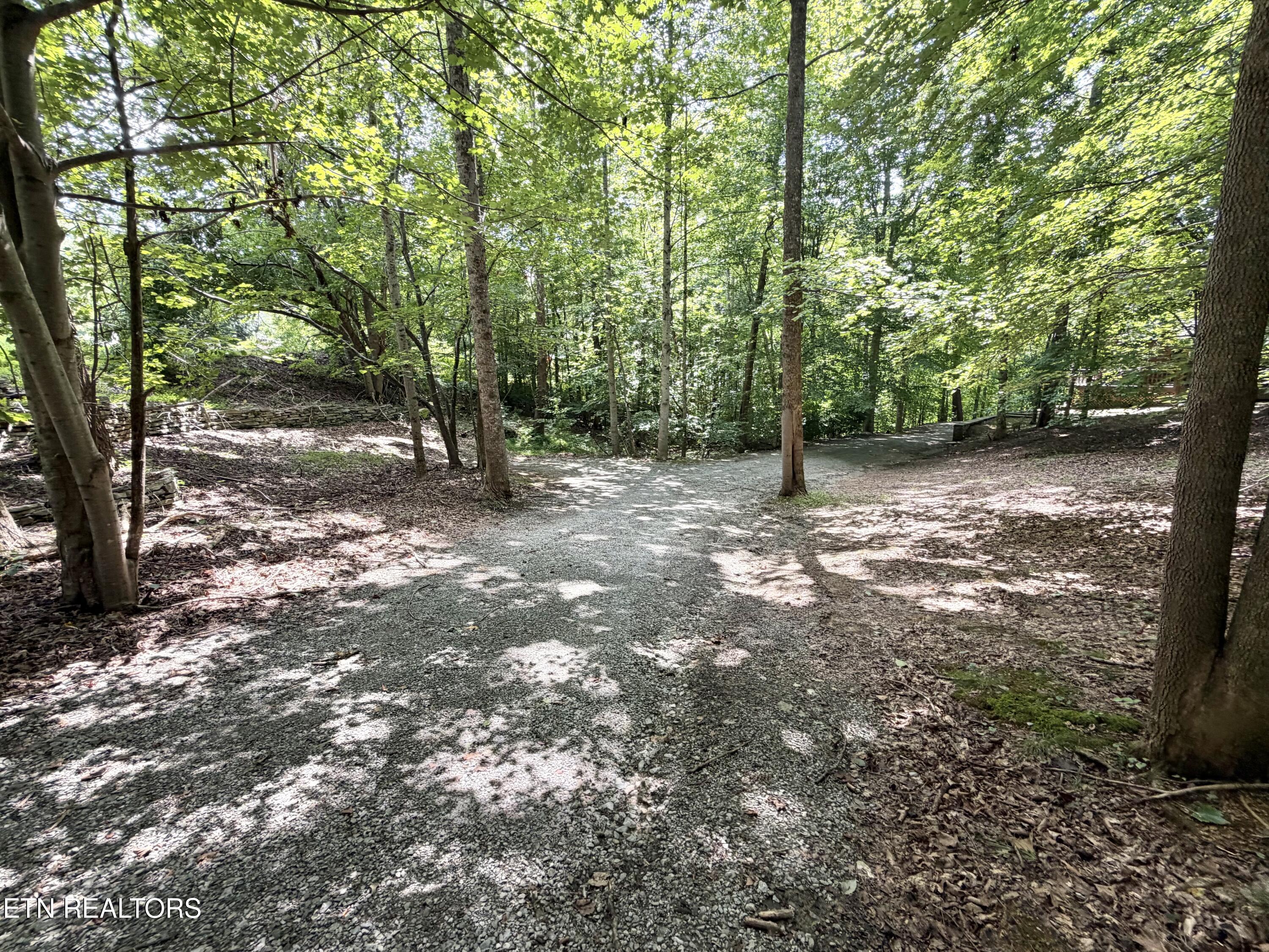 125 Shoreside Road New Tazewell TN 37825