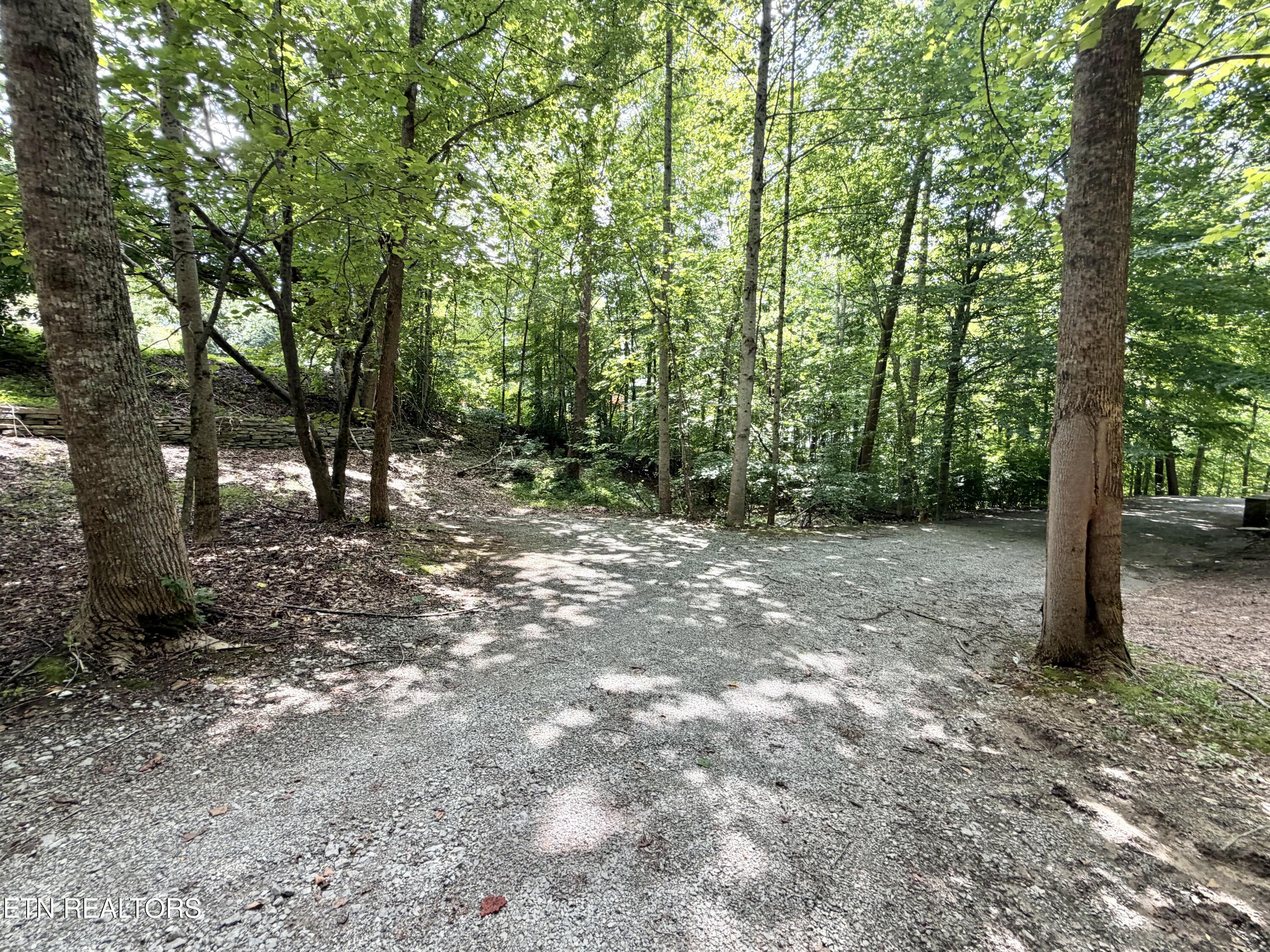 125 Shoreside Road New Tazewell TN 37825