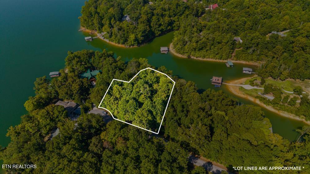 125 Shoreside Road New Tazewell TN 37825