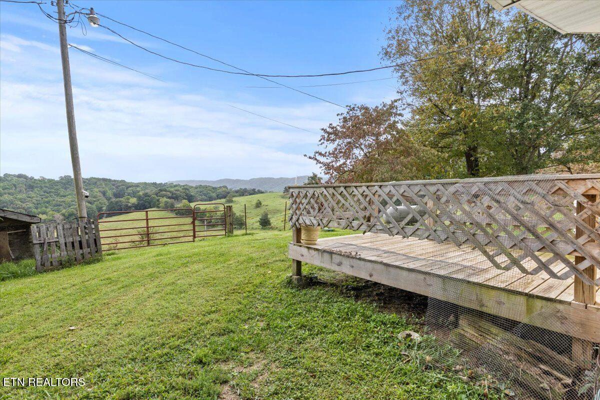 351 Breanna Washburn TN 37888