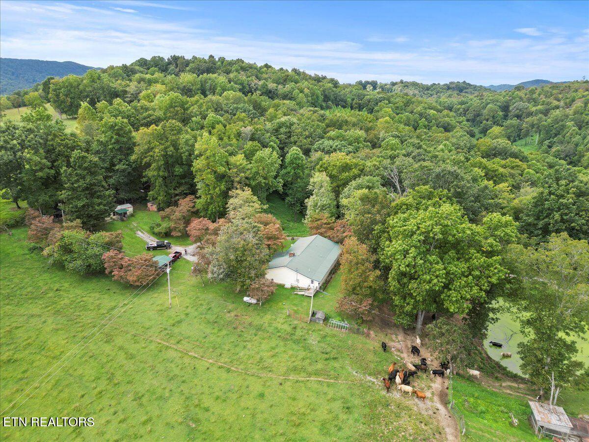 351 Breanna Washburn TN 37888