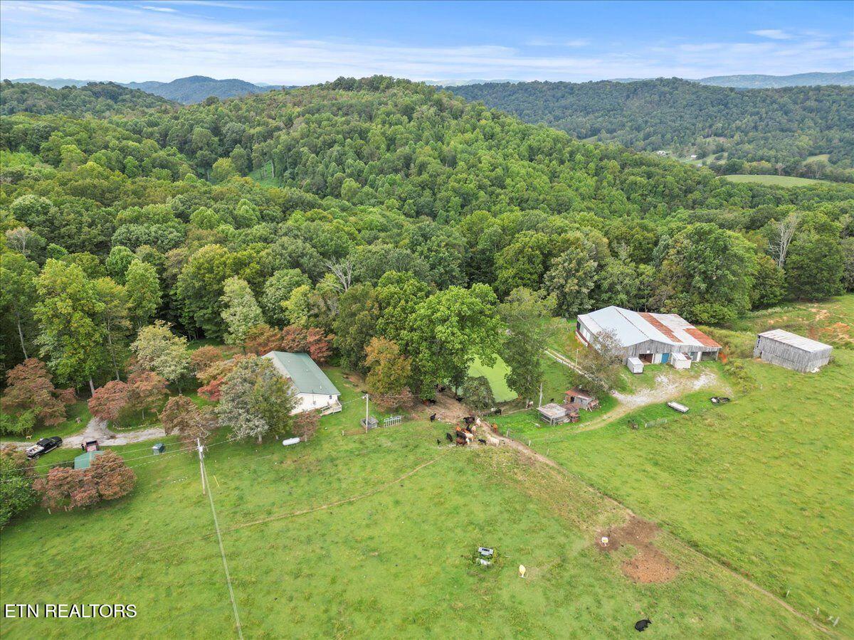 351 Breanna Washburn TN 37888
