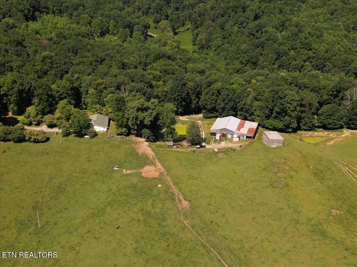 351 Breanna Washburn TN 37888