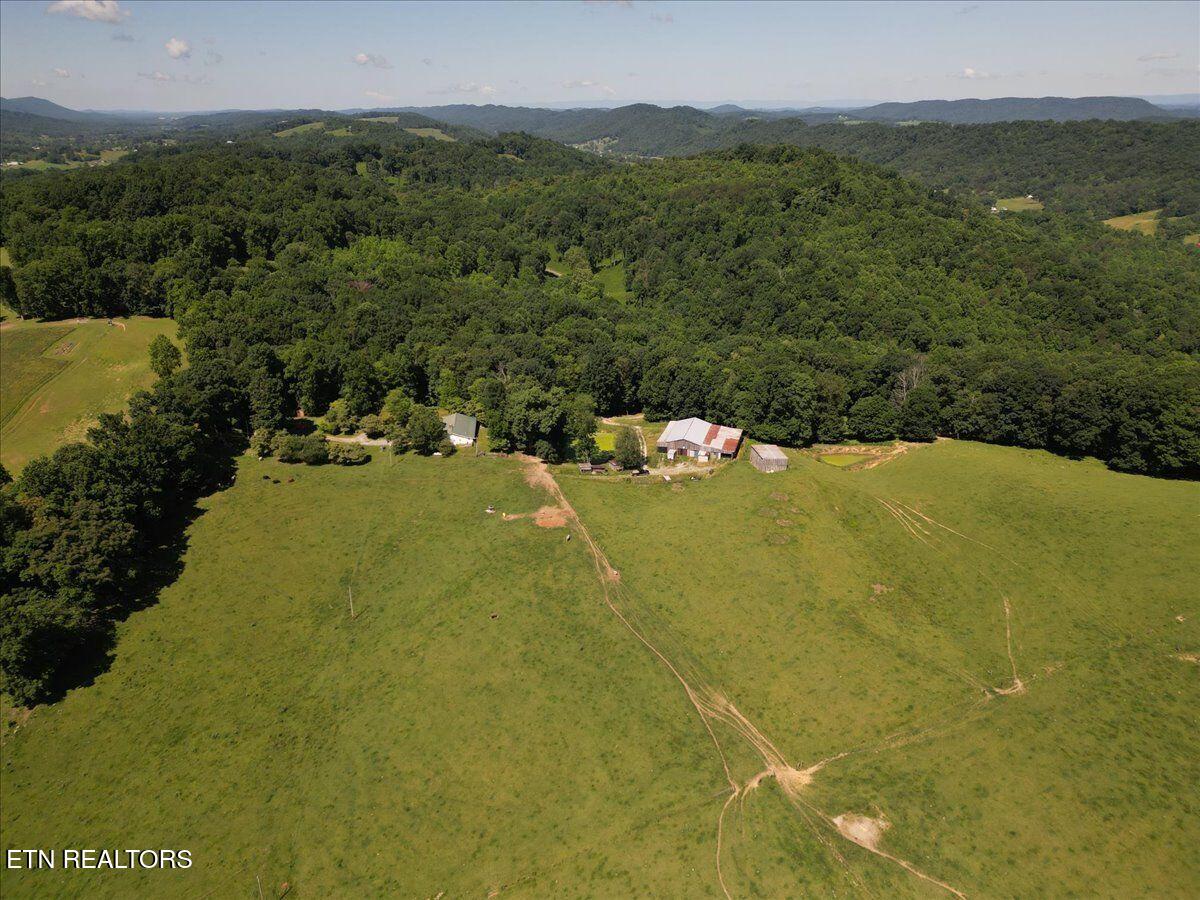 351 Breanna Washburn TN 37888