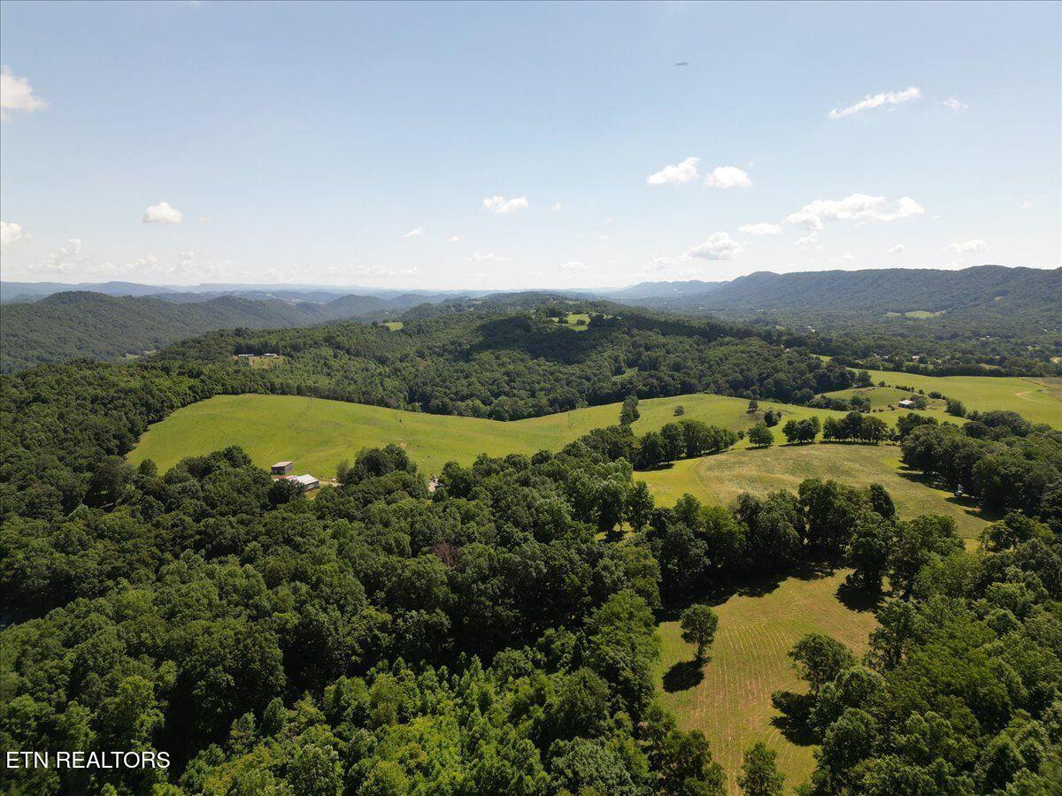 351 Breanna Washburn TN 37888