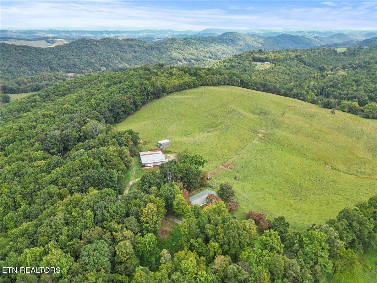 351 Breanna Washburn TN 37888