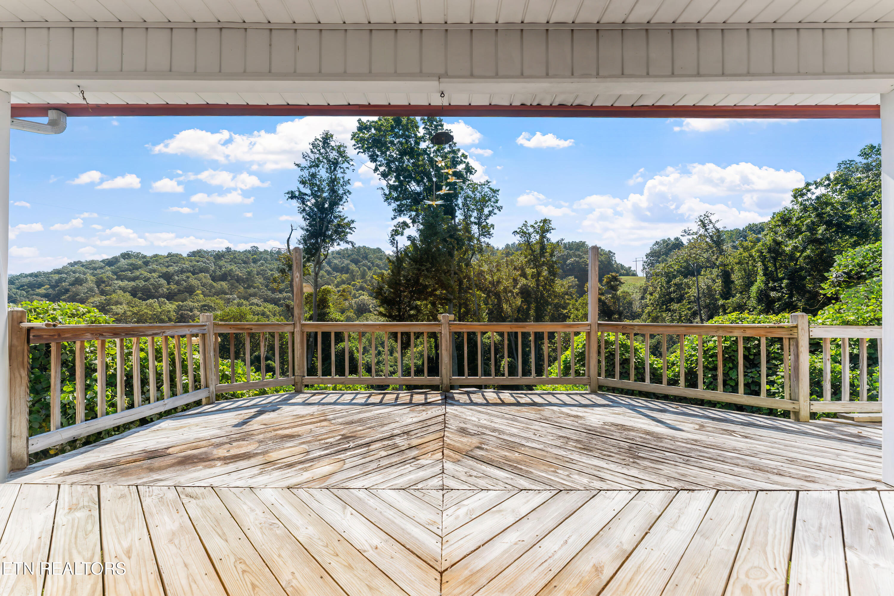 152 Andrews Lane Caryville TN 37714