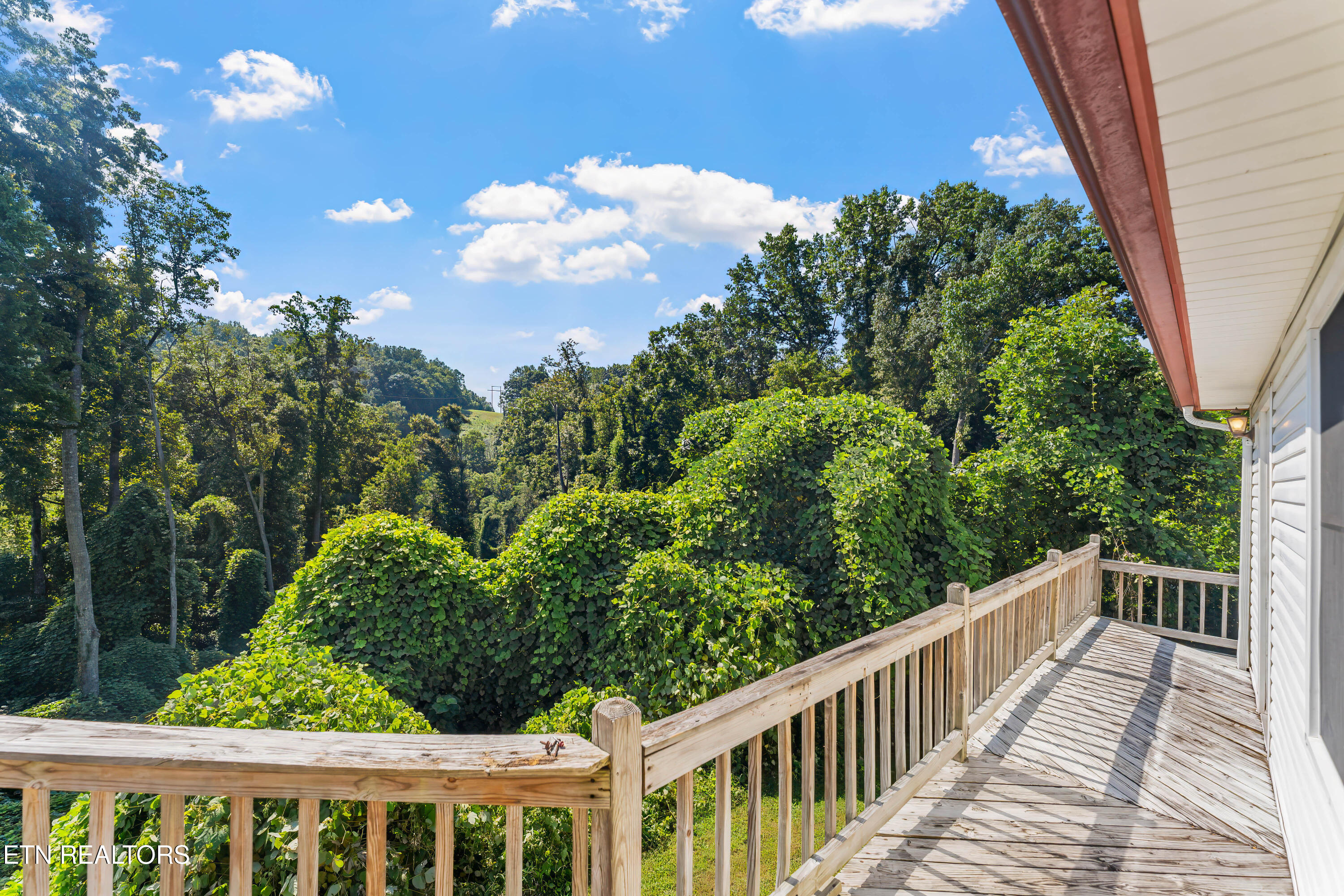 152 Andrews Lane Caryville TN 37714
