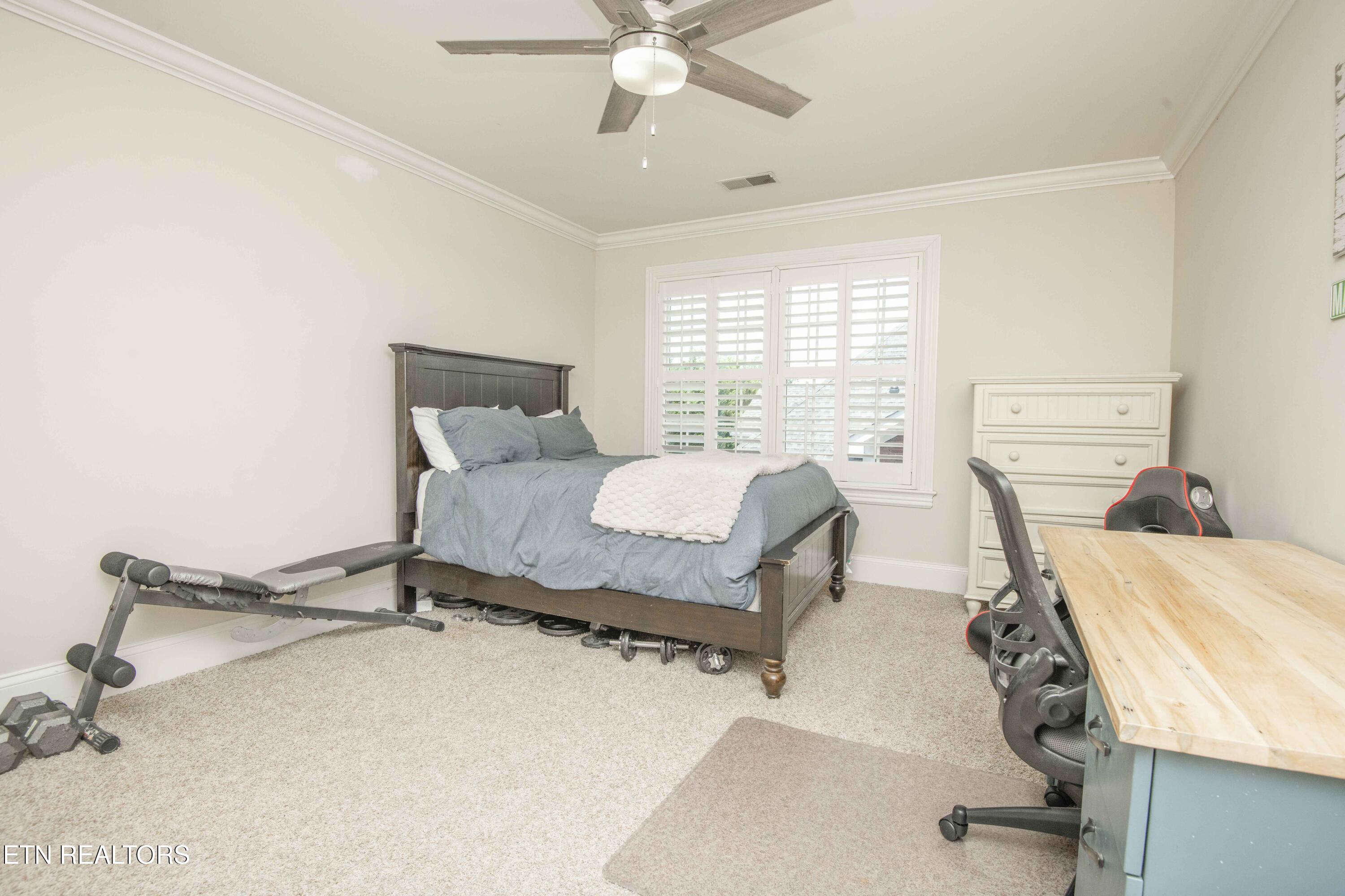 1147 Appaloosa Way Knoxville TN 37922