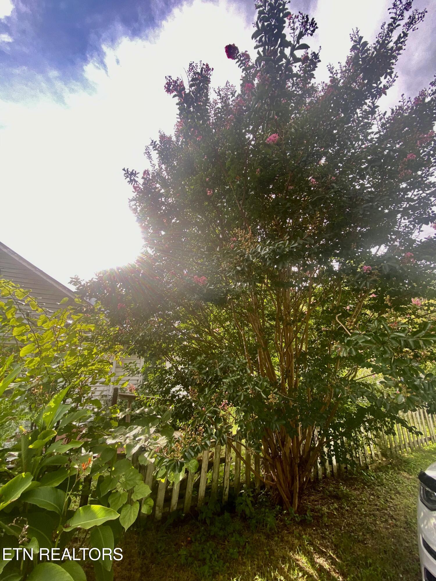 1825 Newman Town Road Pigeon Forge TN 37862