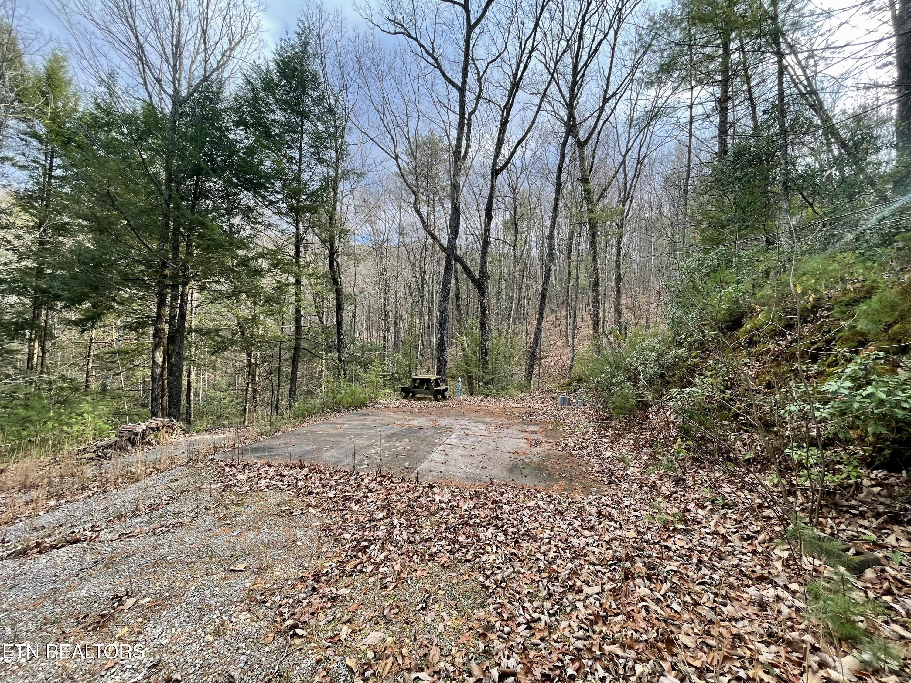 2500 Joe Brown Highway Tellico Plains TN 37385