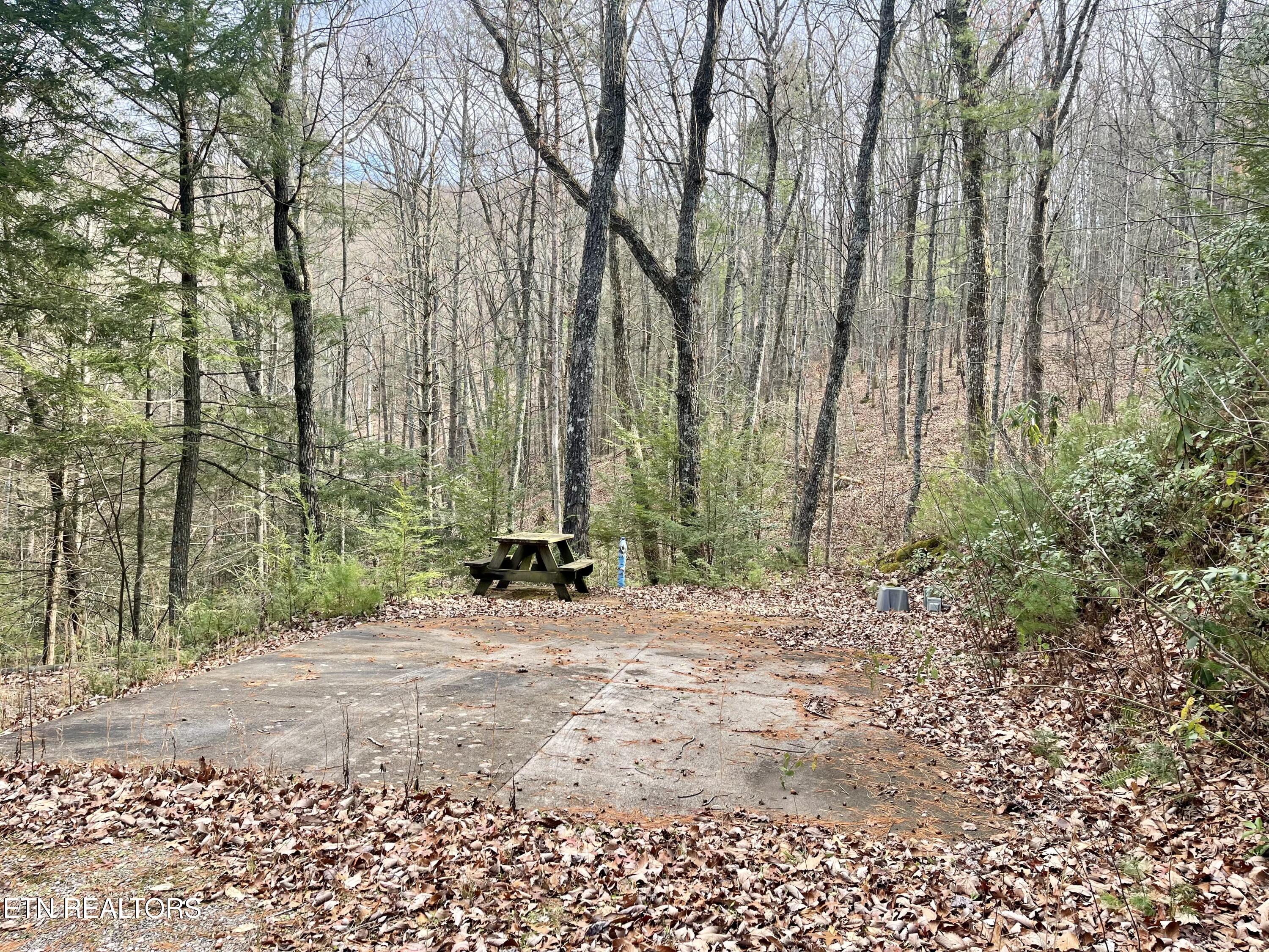 2500 Joe Brown Highway Tellico Plains TN 37385