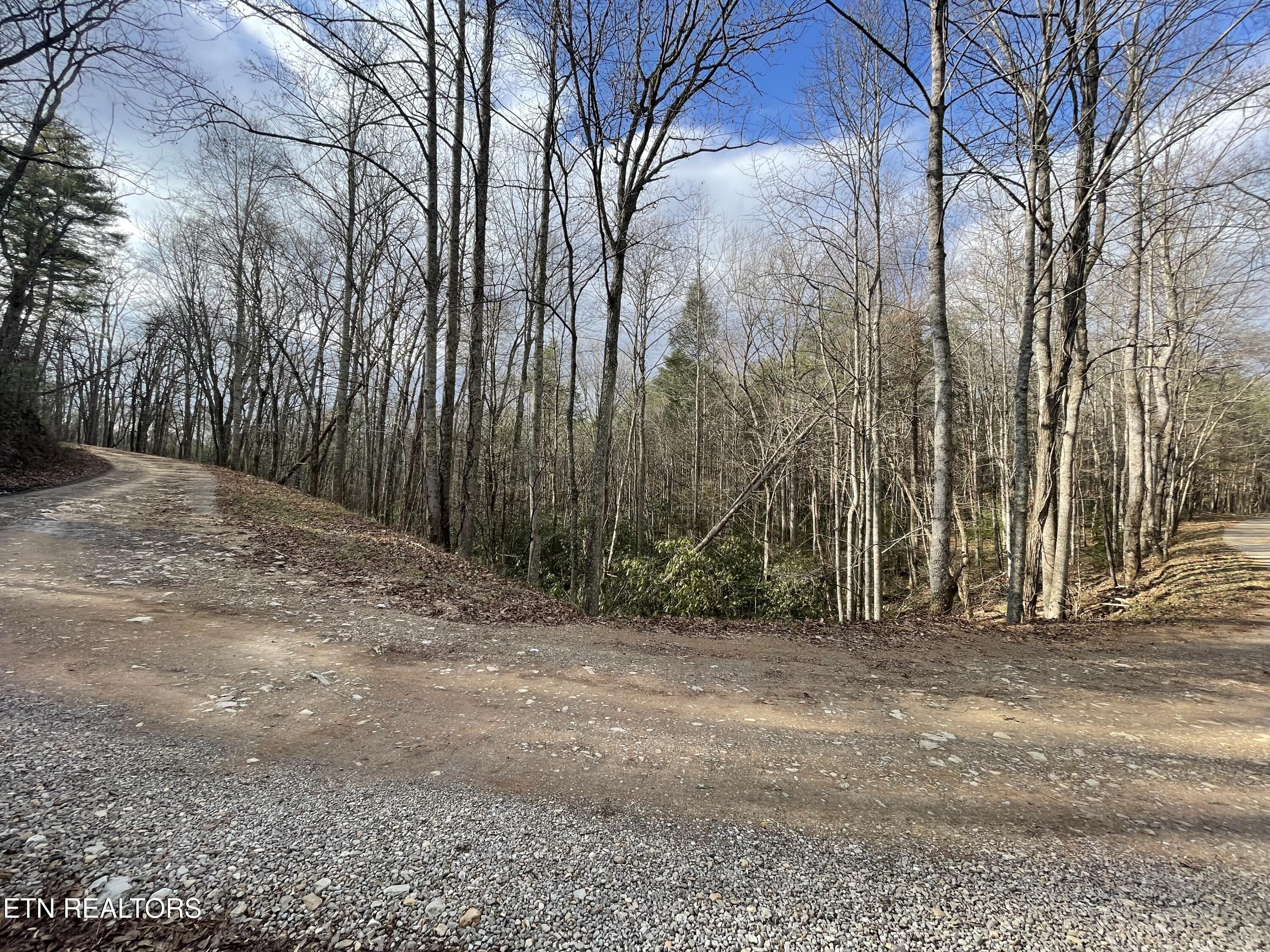 2500 Joe Brown Highway Tellico Plains TN 37385