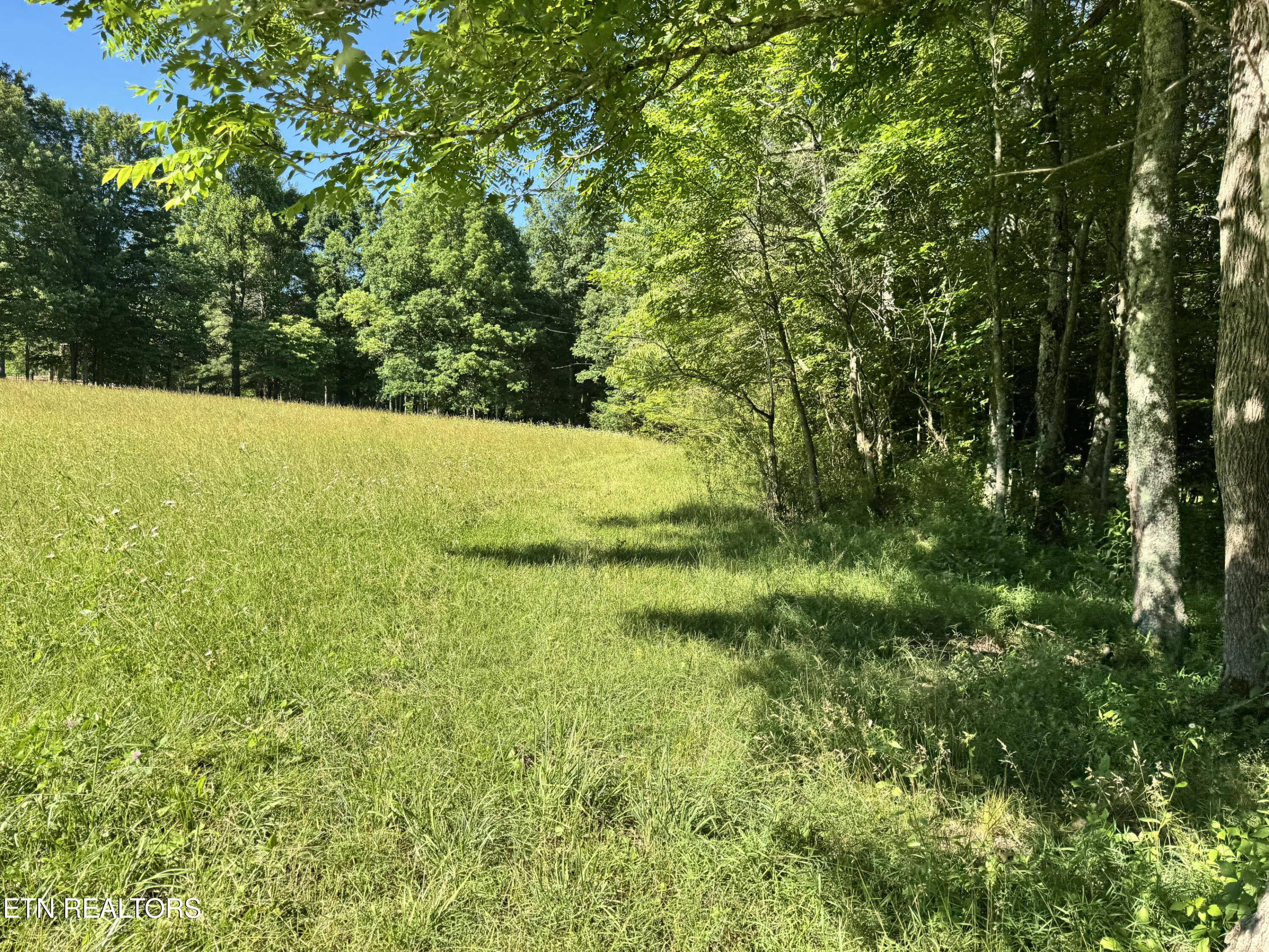 6986 S York Highway 6986 Highway Clarkrange TN 38553
