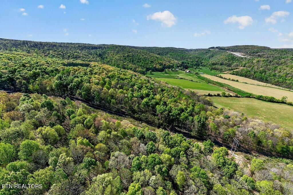747 Old County Farm Road Spencer TN 38585