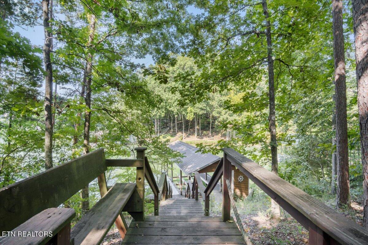 305 Amohi Lane Loudon TN 37774