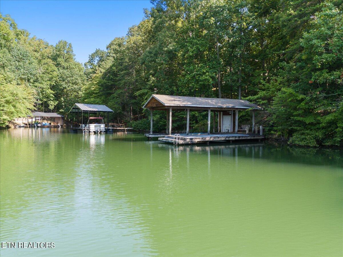 305 Amohi Lane Loudon TN 37774
