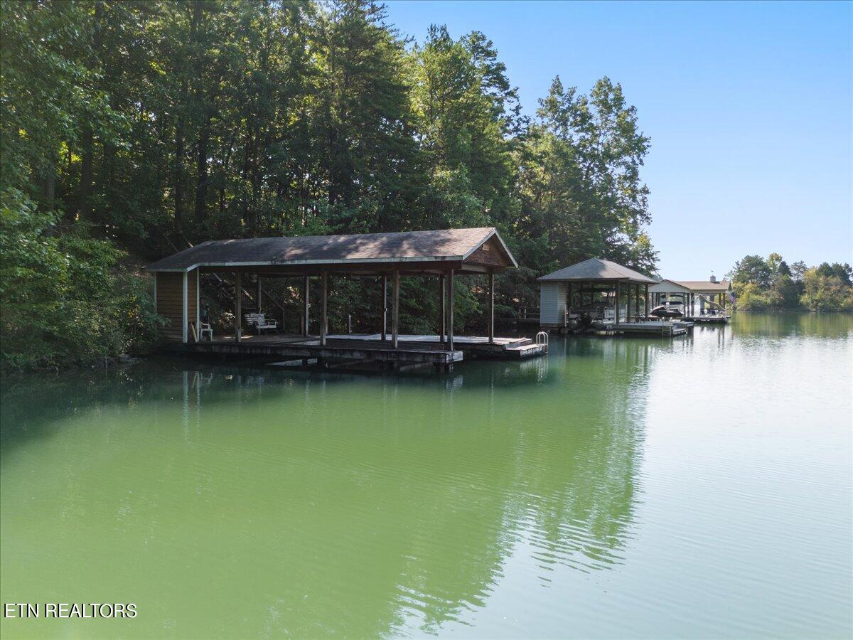 305 Amohi Lane Loudon TN 37774