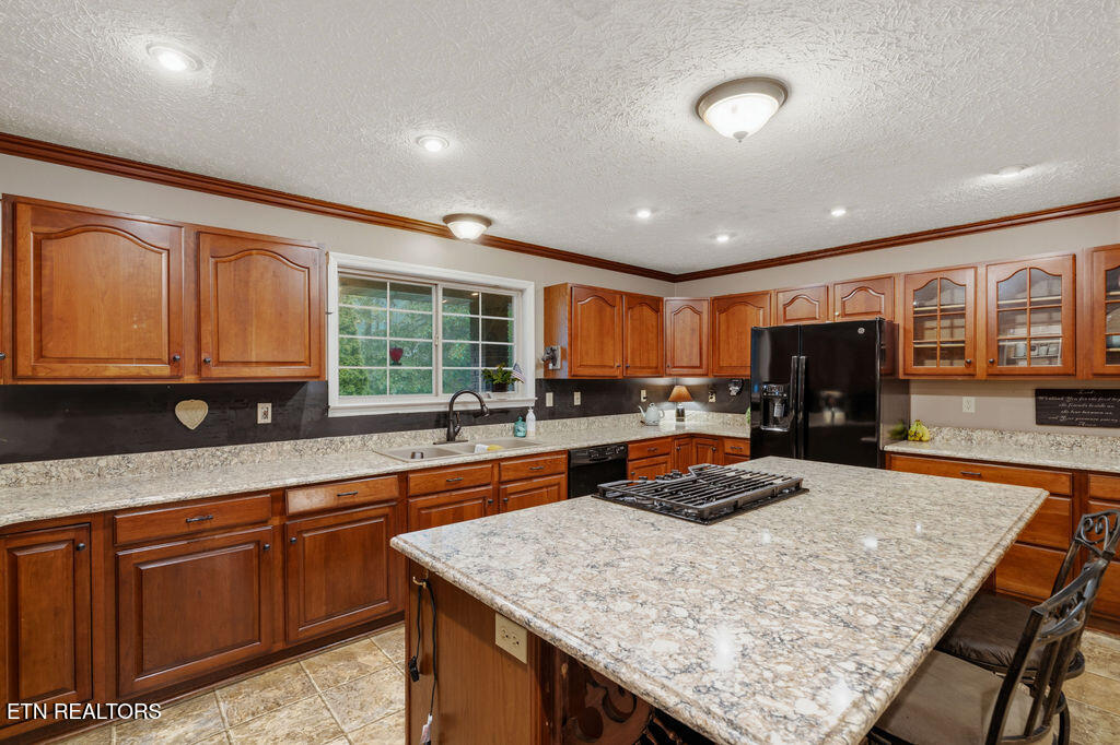 3012 Roaring Creek Way Sevierville TN 37862