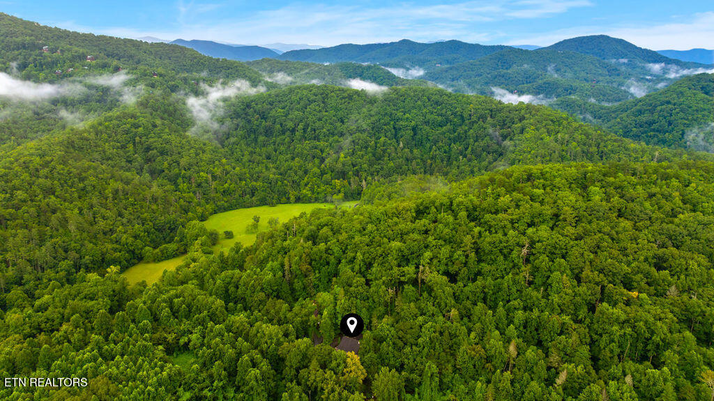 3012 Roaring Creek Way Sevierville TN 37862