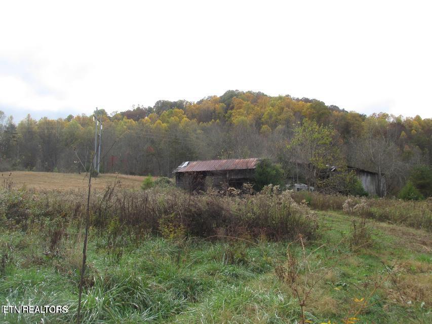 5194 Jones Cove Road Cosby TN 37722