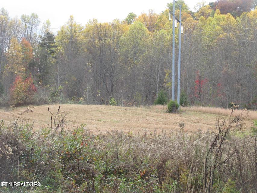 5194 Jones Cove Road Cosby TN 37722