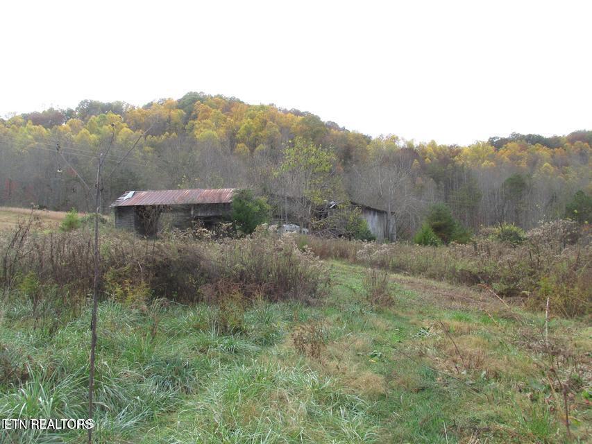 5194 Jones Cove Road Cosby TN 37722