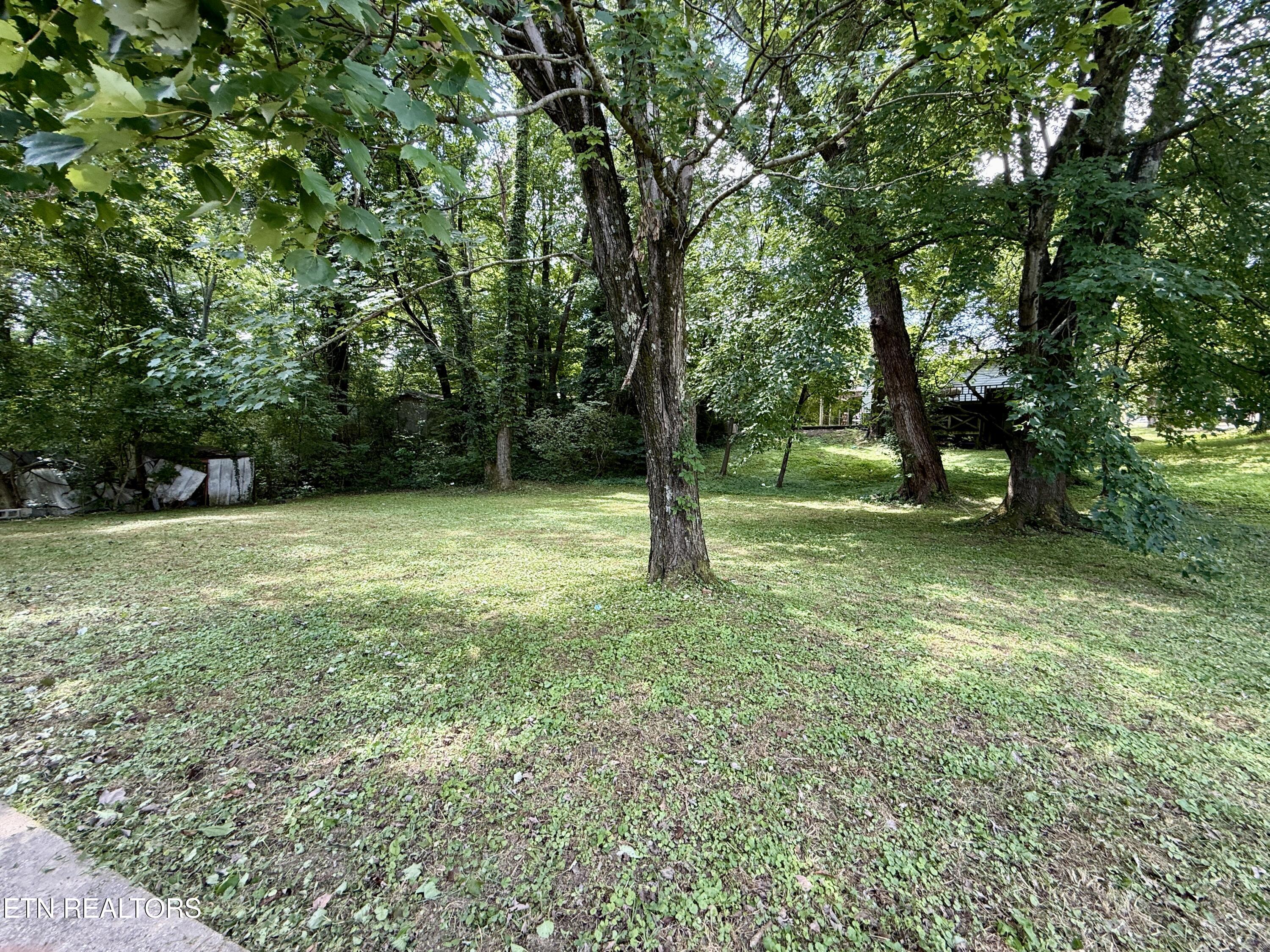 419 Carlock Avenue Harriman TN 37748