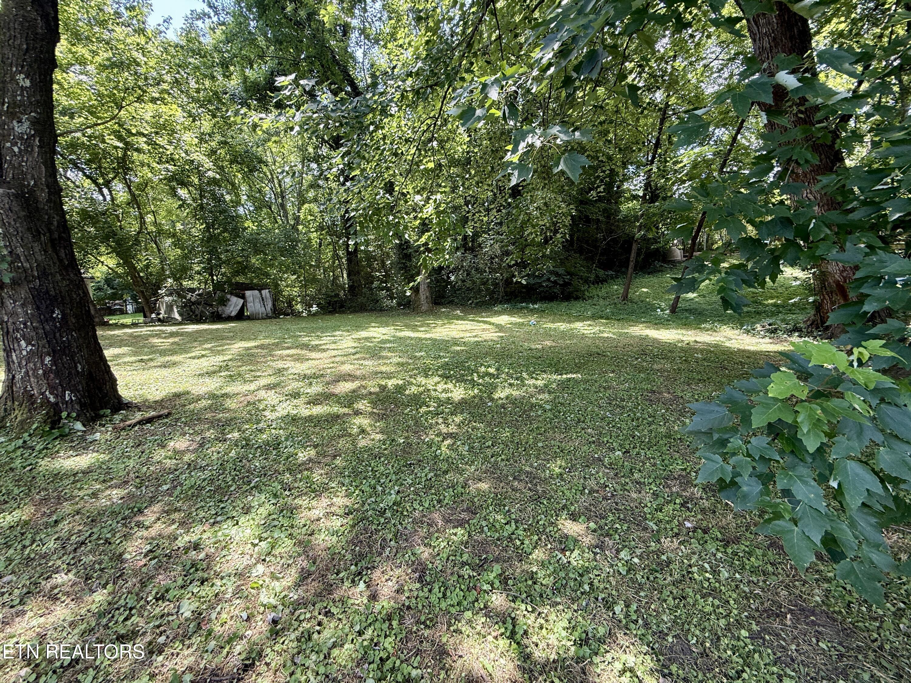 419 Carlock Avenue Harriman TN 37748