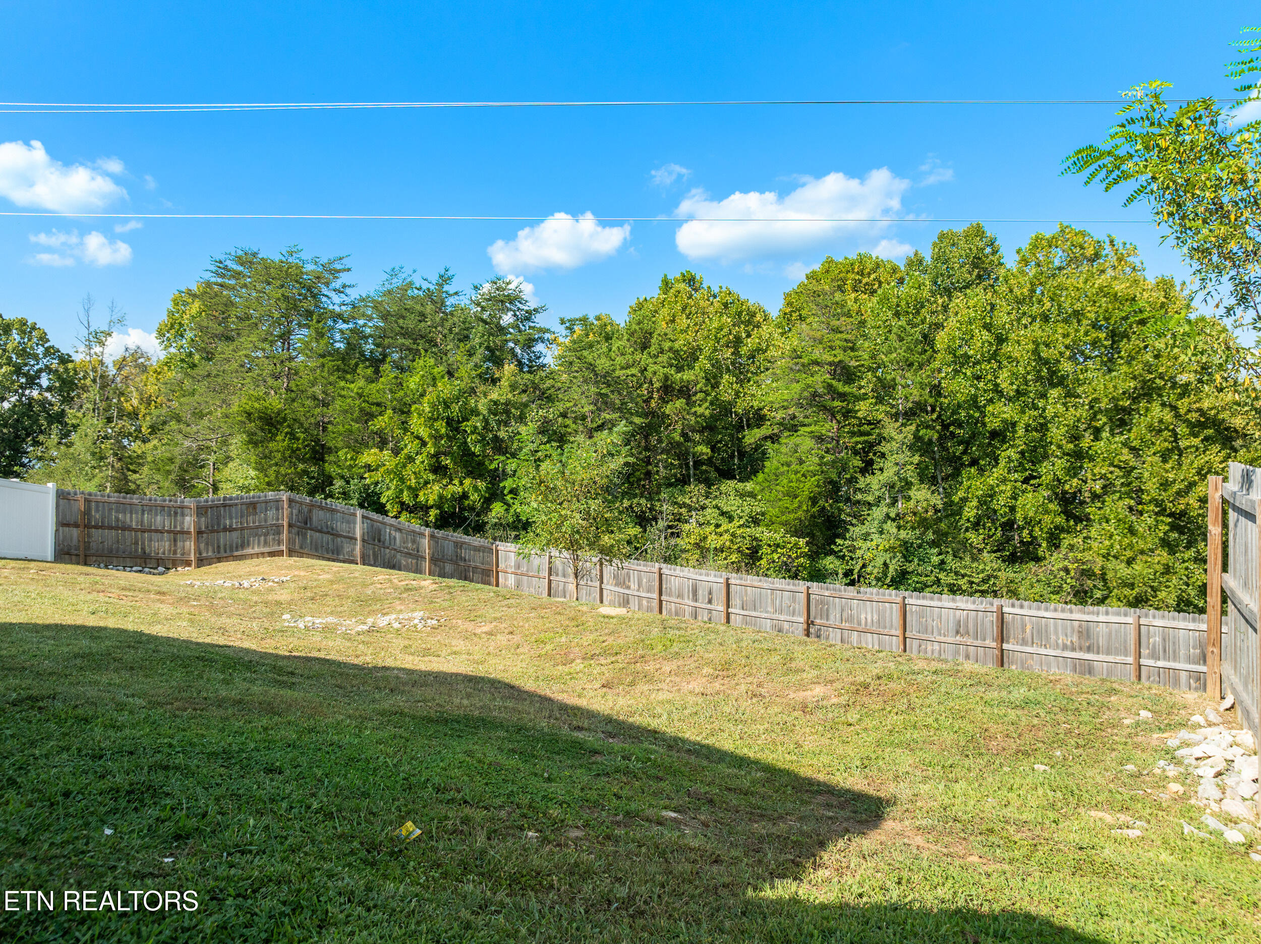 234 Sapling Lane Knoxville TN 37924