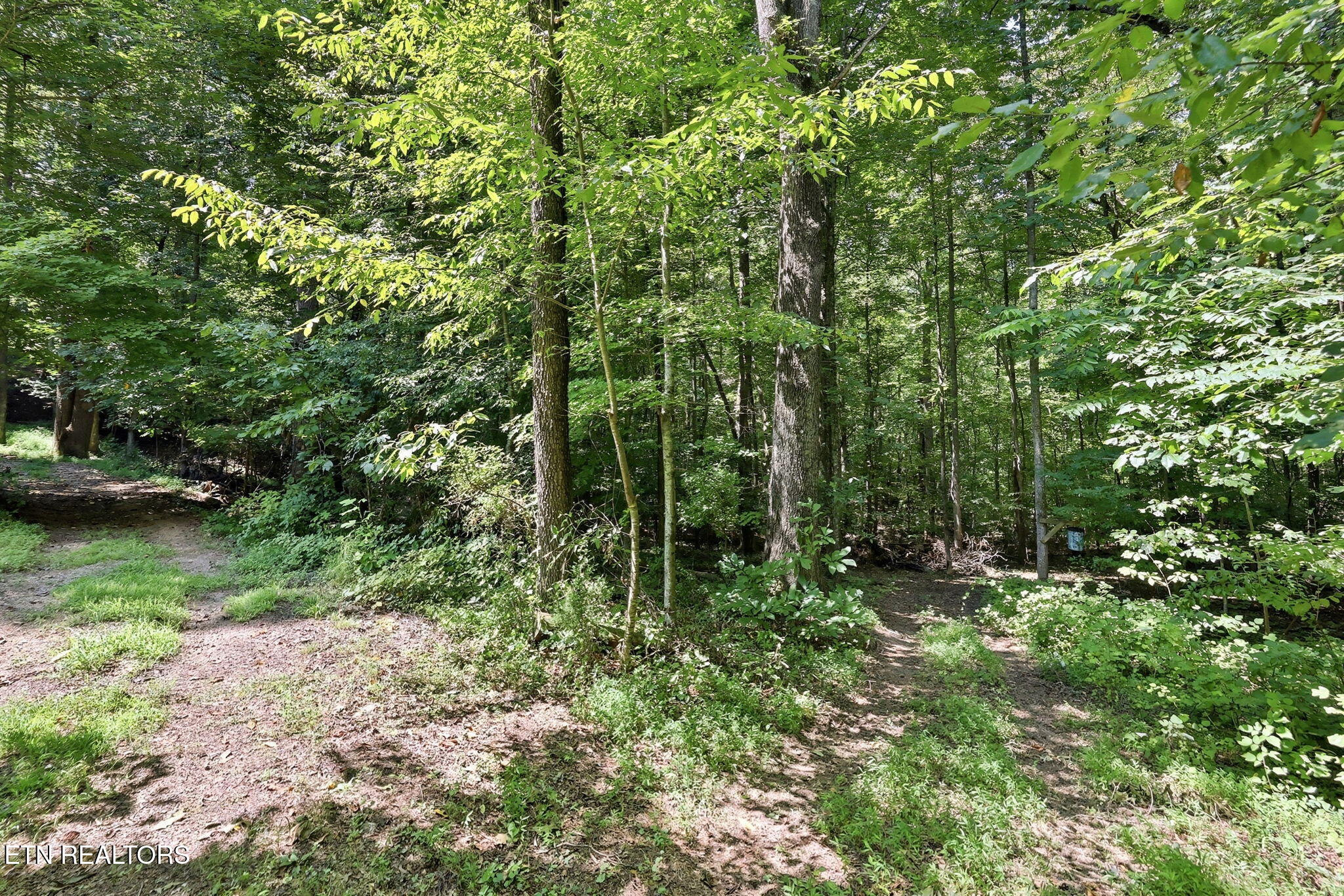 973 Ridge Circle Road Andersonville TN 37705