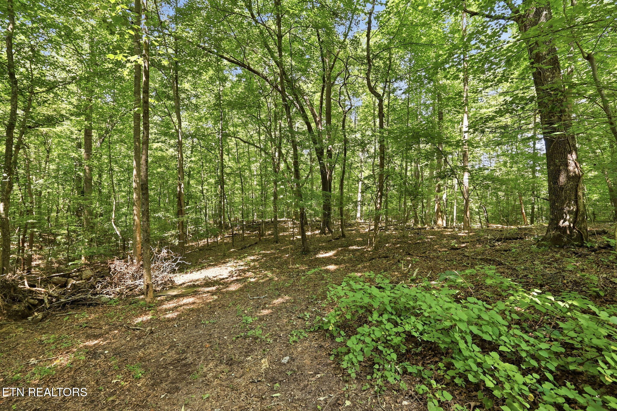 973 Ridge Circle Road Andersonville TN 37705