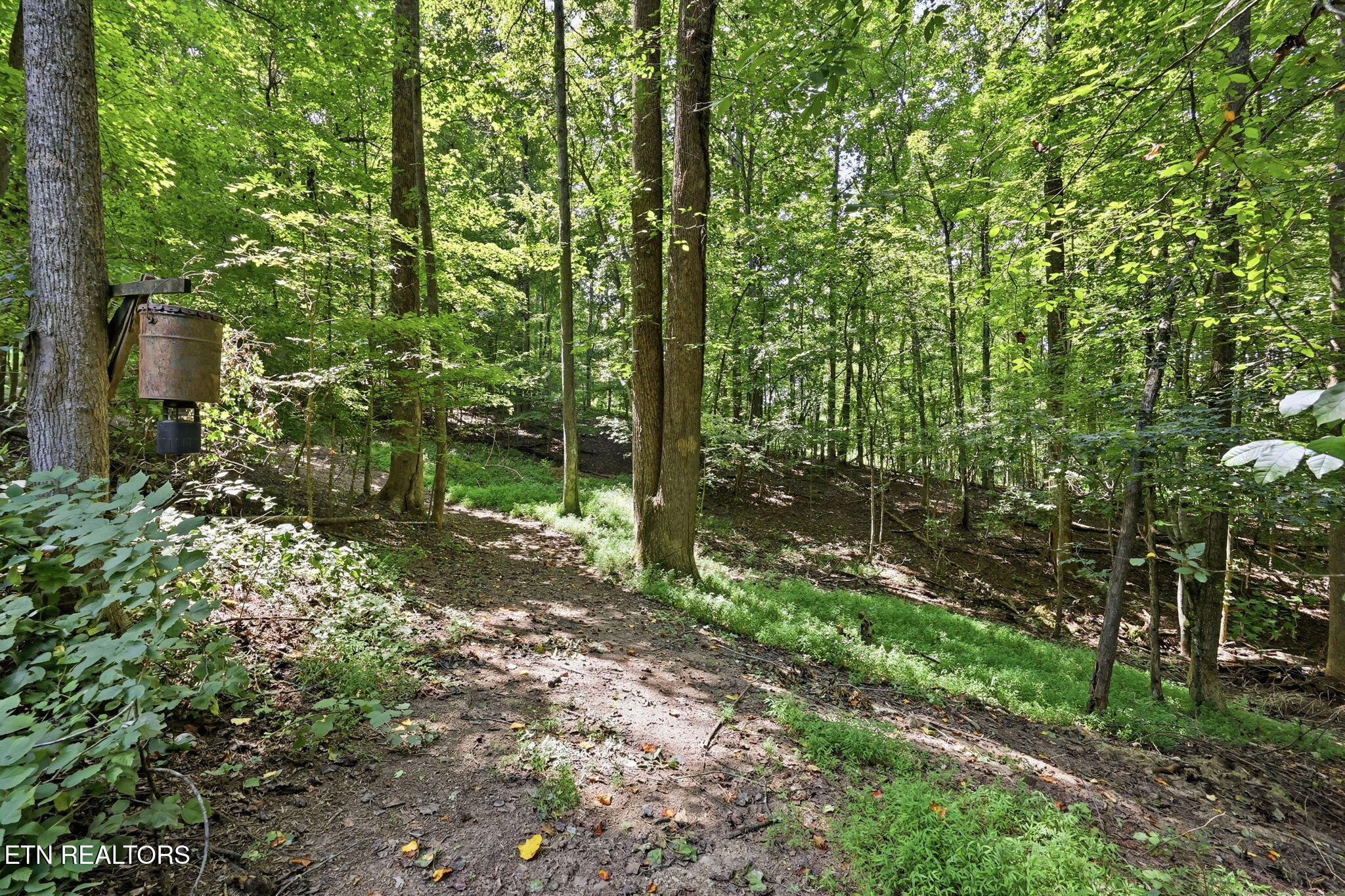 973 Ridge Circle Road Andersonville TN 37705