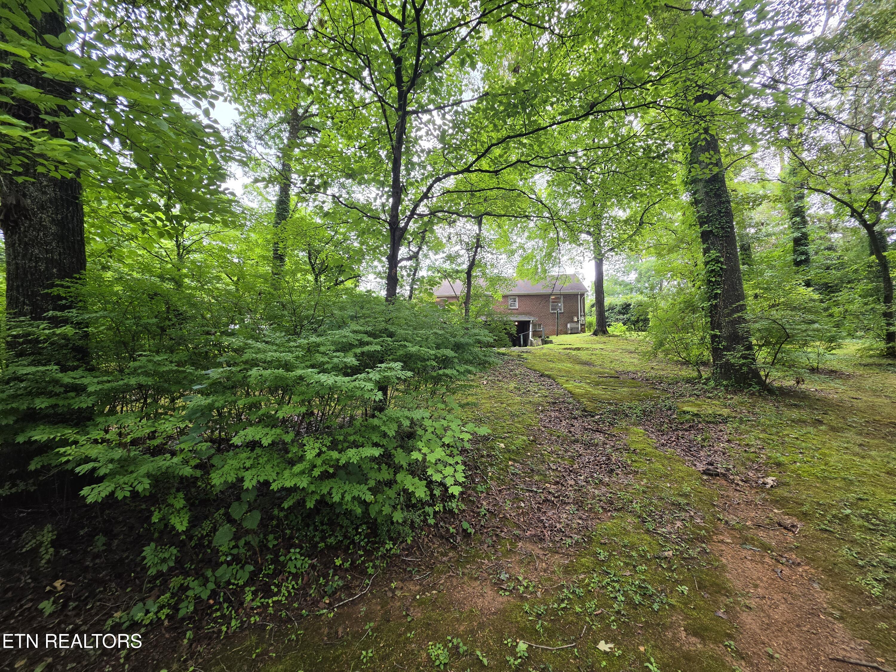 1211 Craig Road Knoxville TN 37919