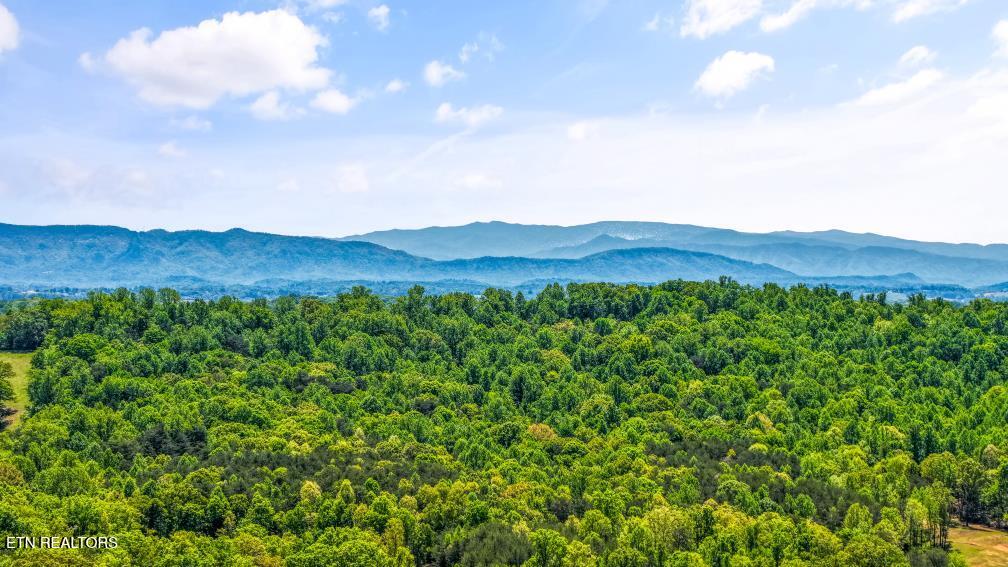 4521 Big Springs Road Greenback TN 37742