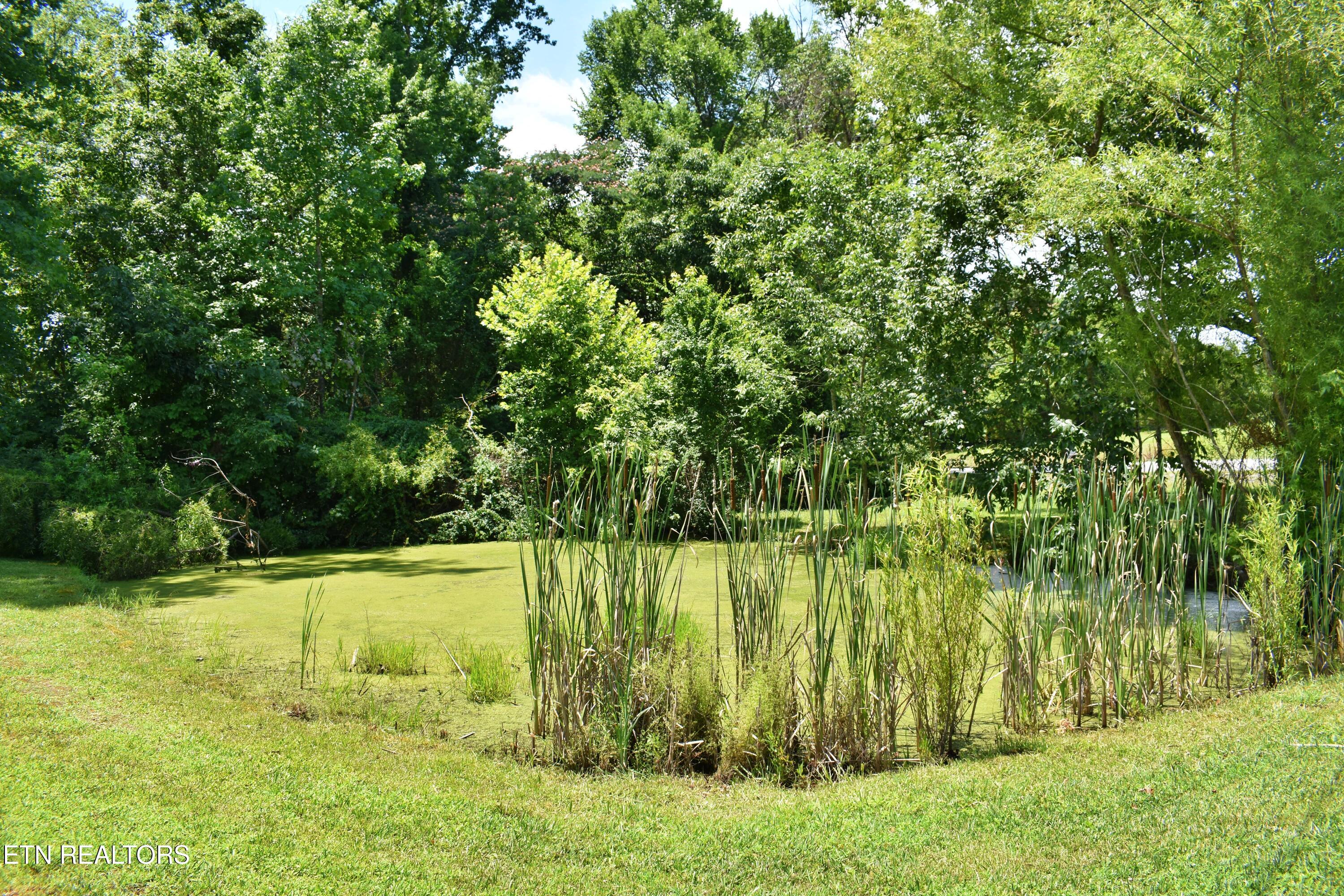 5858 Wolf Creek Road Spring City TN 37381