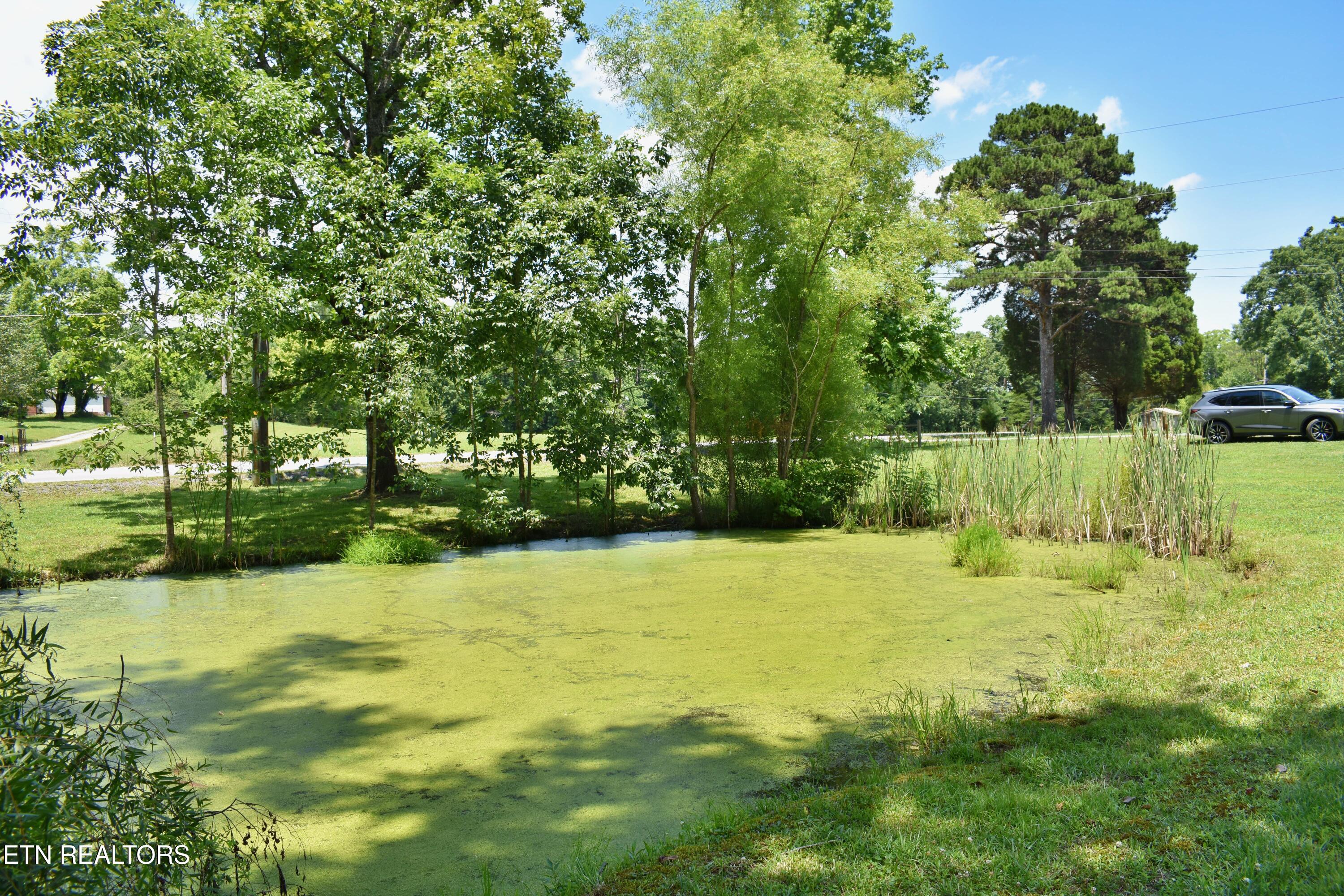 5858 Wolf Creek Road Spring City TN 37381