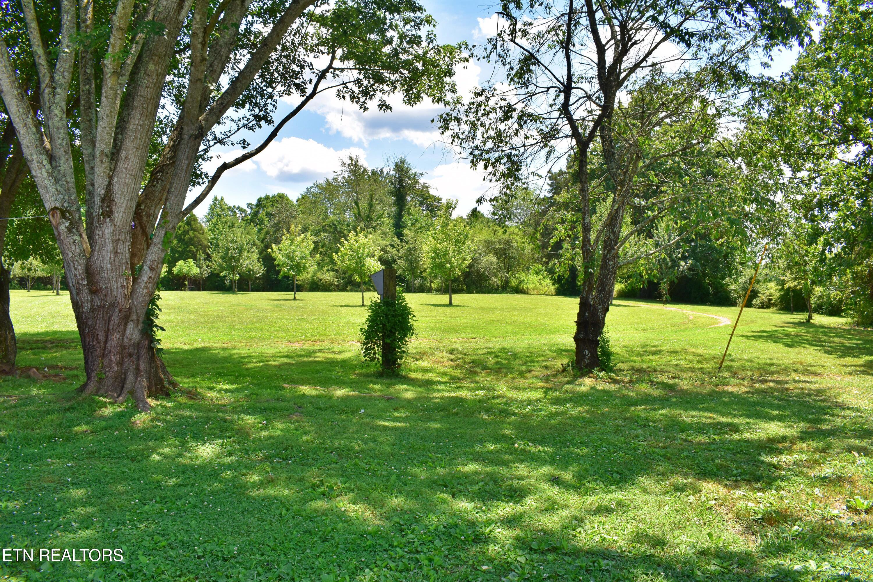 5858 Wolf Creek Road Spring City TN 37381