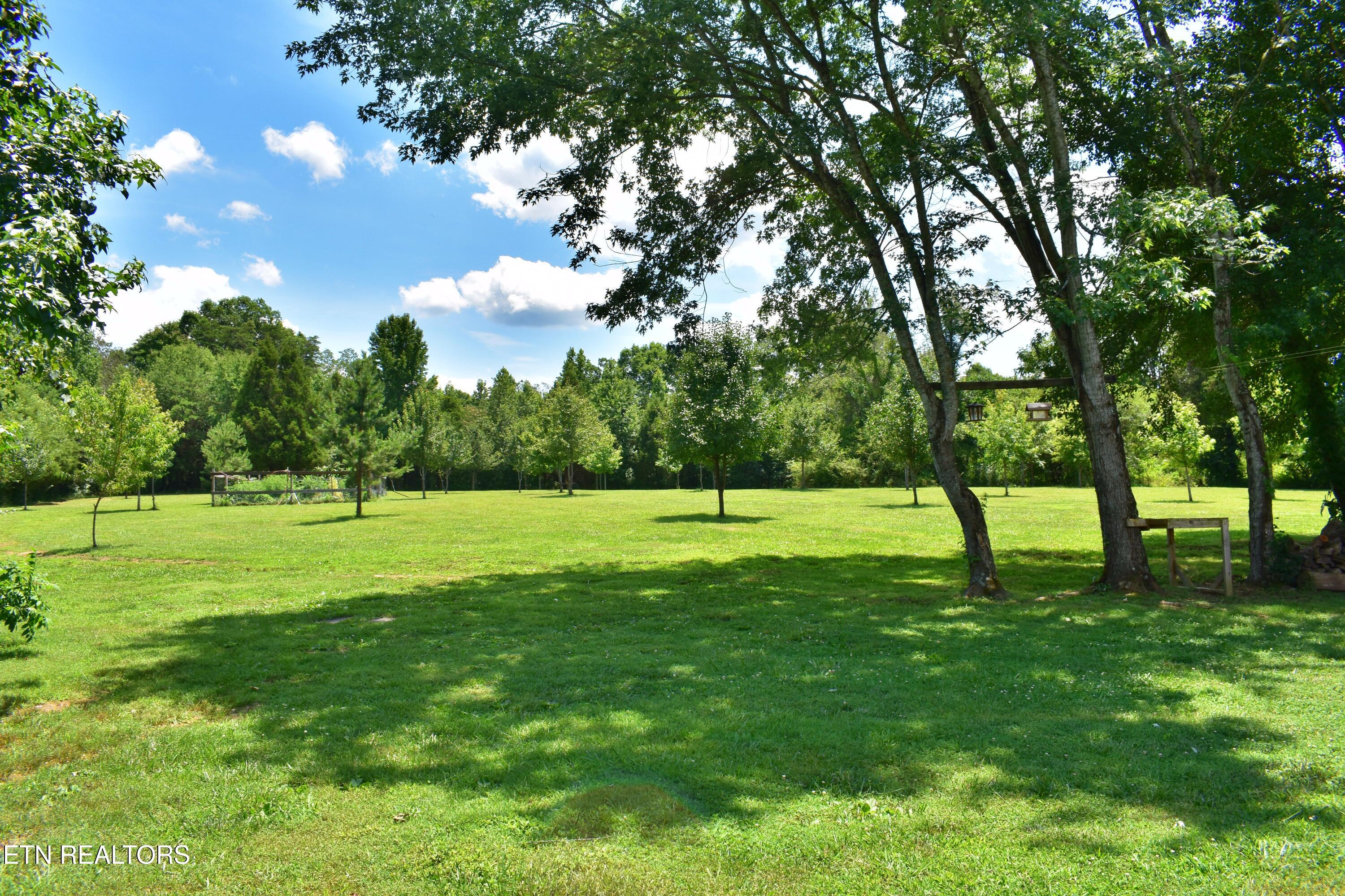 5858 Wolf Creek Road Spring City TN 37381