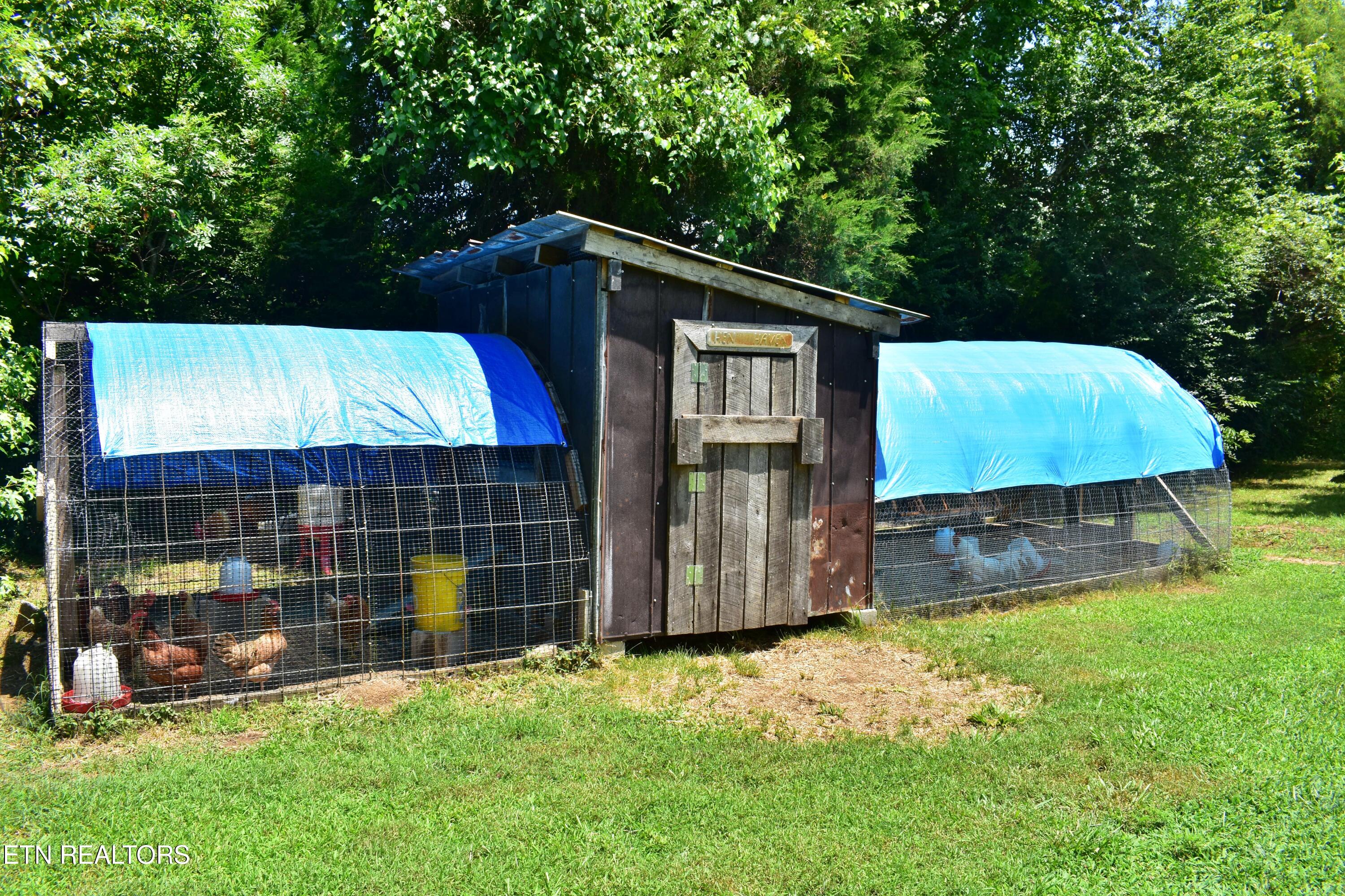 5858 Wolf Creek Road Spring City TN 37381