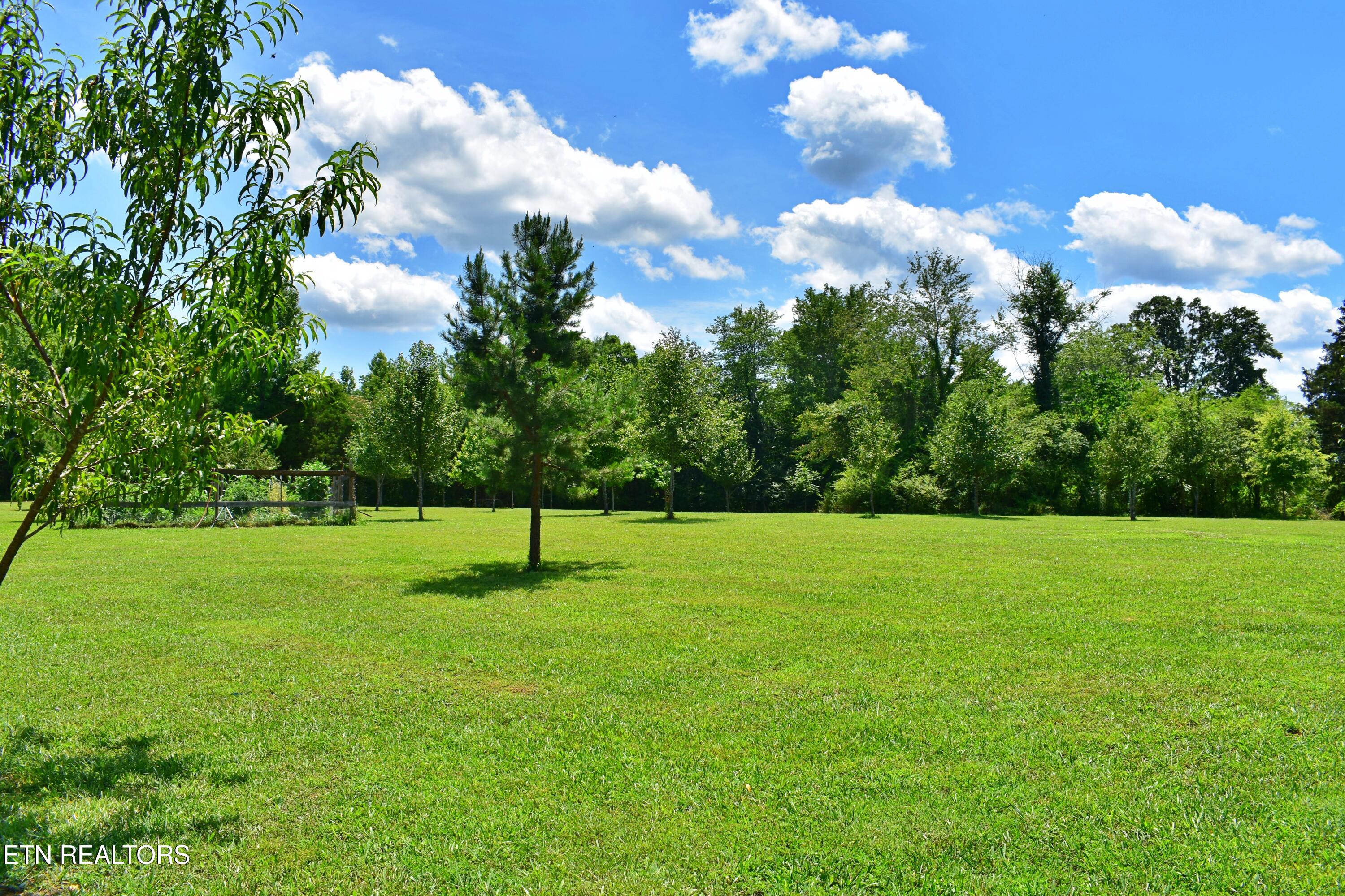 5858 Wolf Creek Road Spring City TN 37381